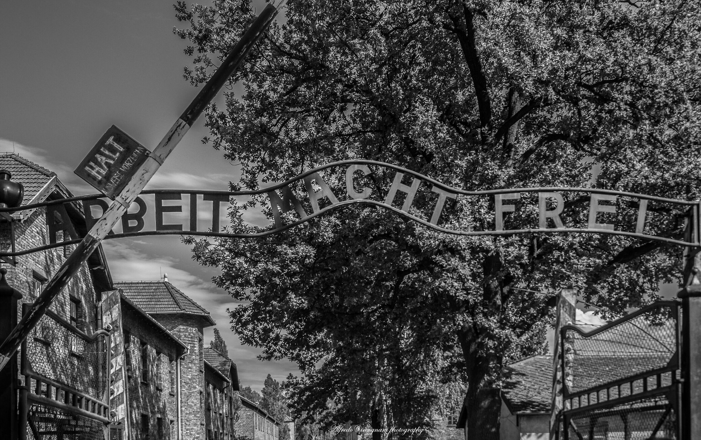 “Arbeit macht frei" “Il lavoro rende liberi...