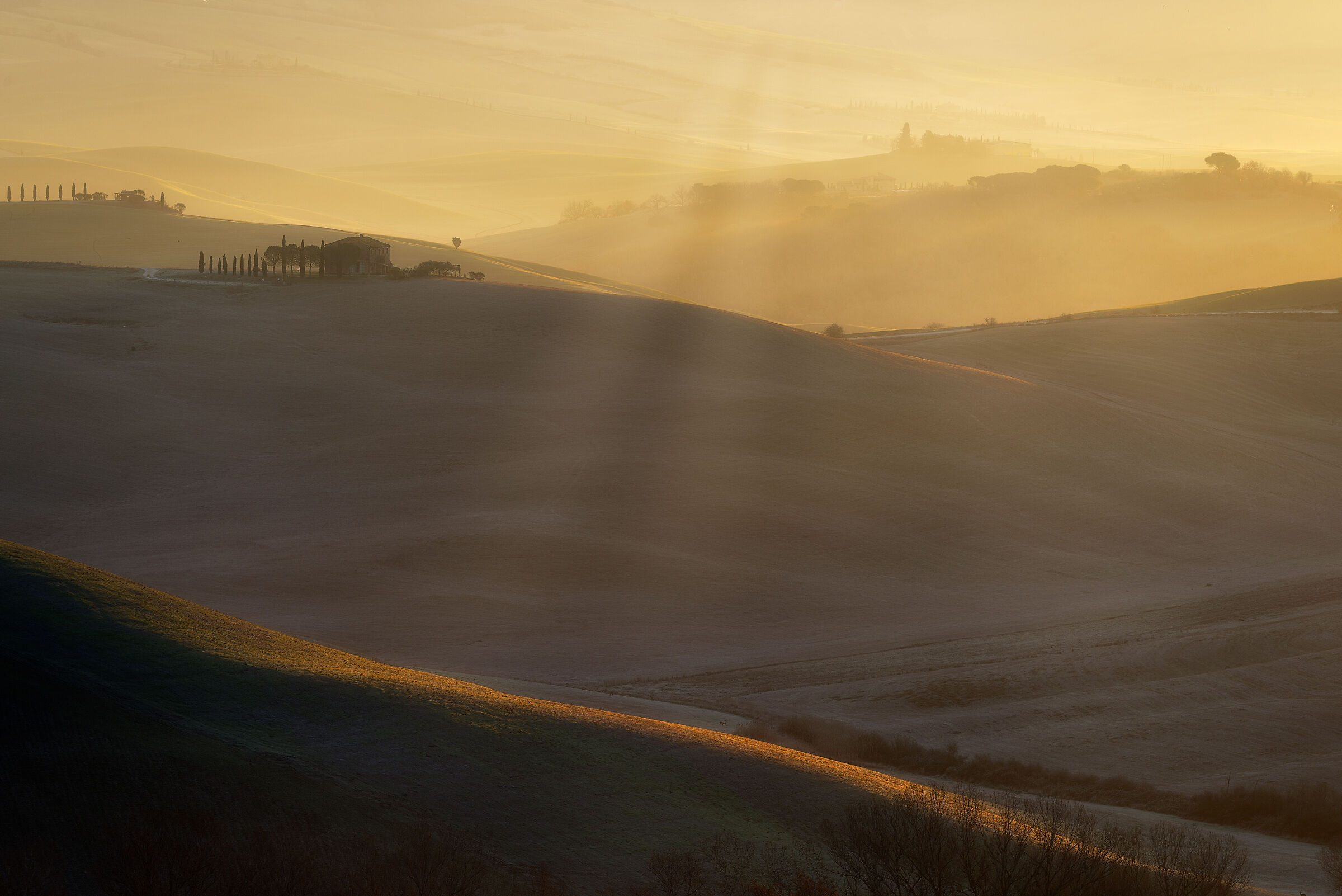 A moment of light