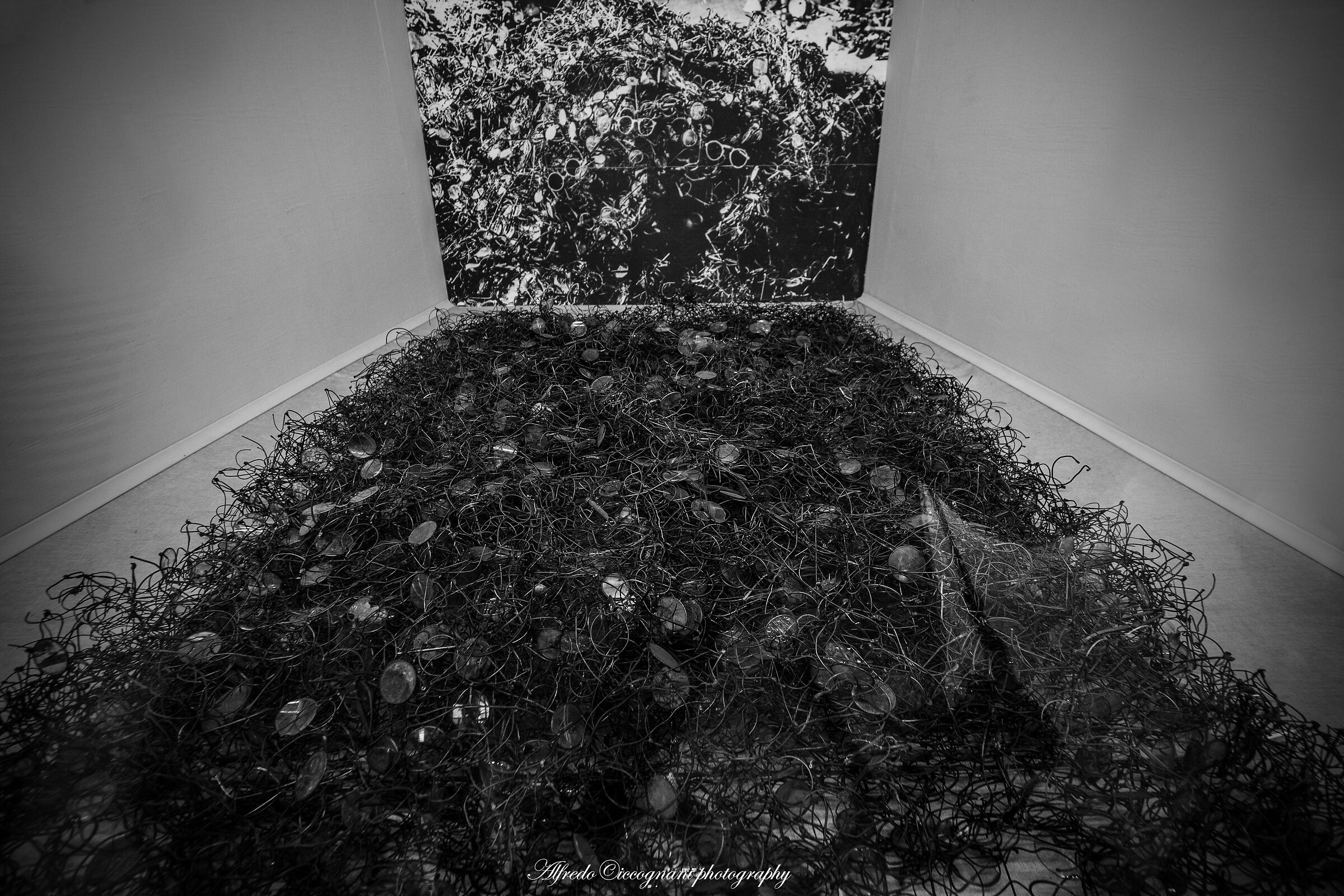 Le centinaia di migliaia di occhiali...