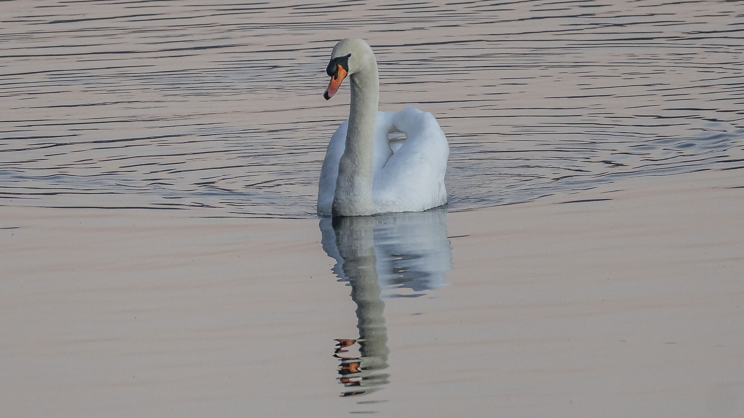 Sunday, 19 December 2021, 16:43:34