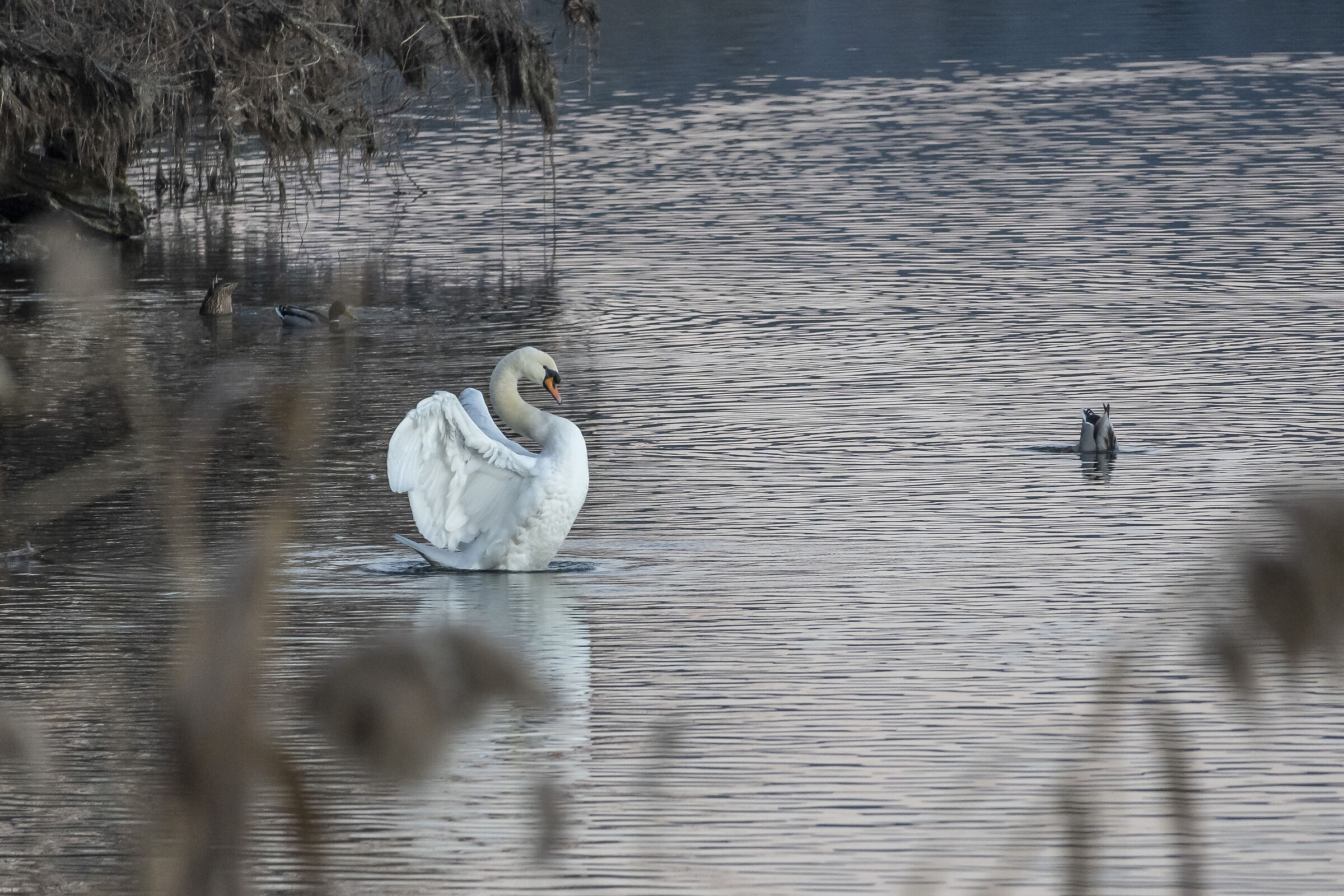 Sunday, 19 December 2021, 16:43:38