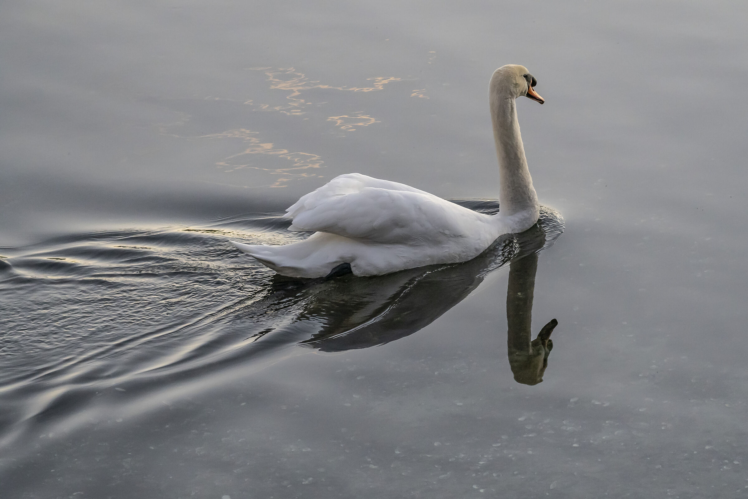 Sunday, 19 December 2021, 16:48:44