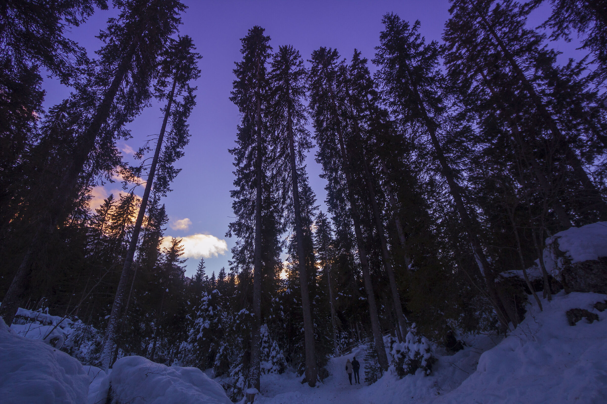 Lago di Carezza (dall'altra parte)