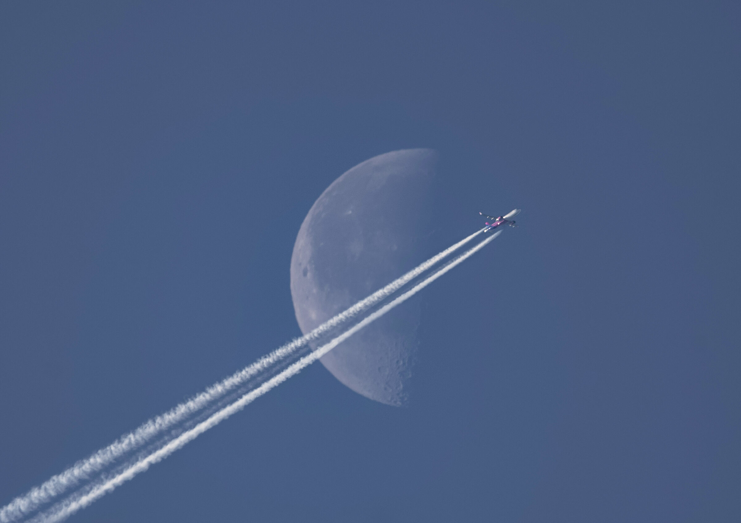 Fly
