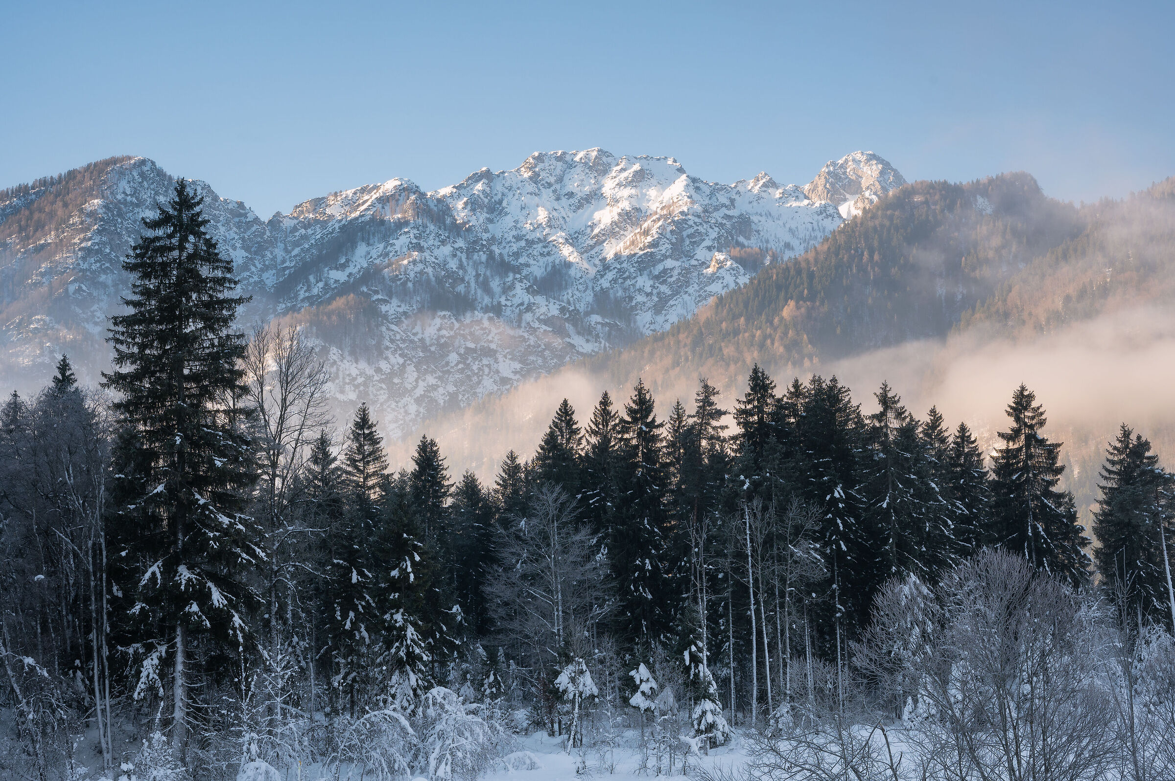 Valbruna and the mist!