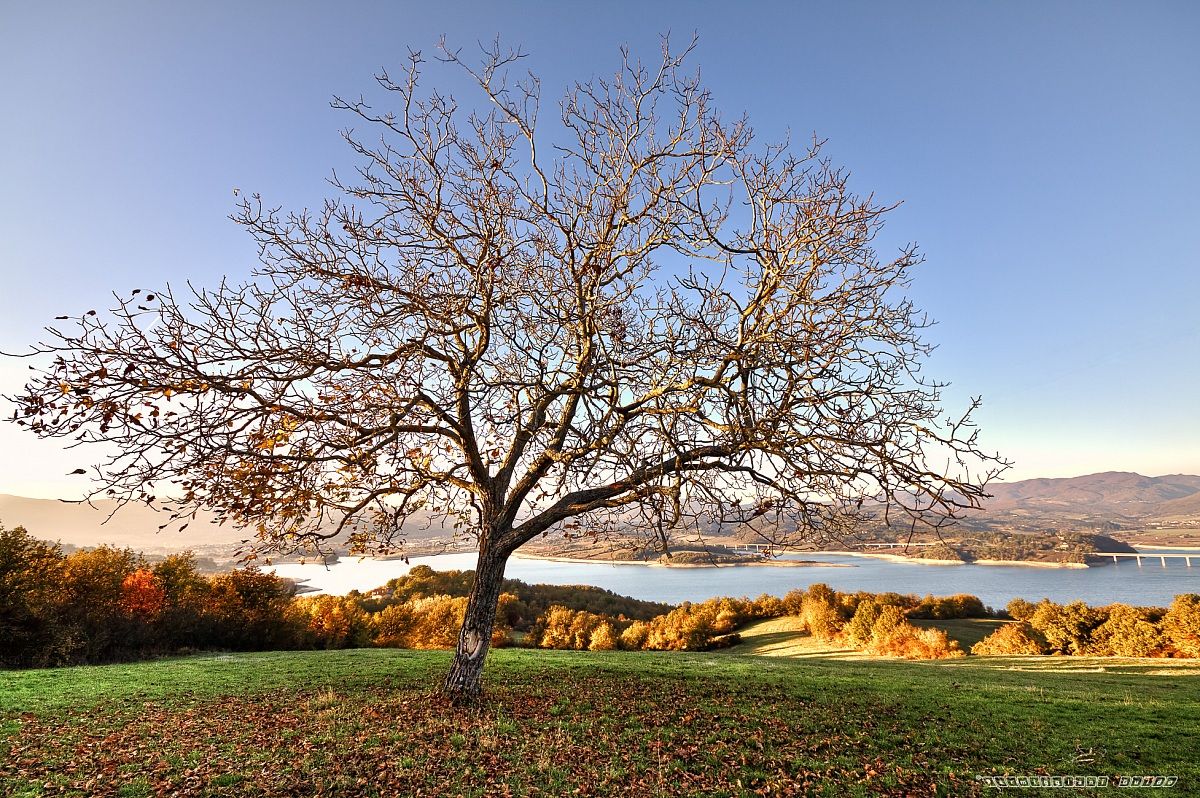 Lake Bilancino - Barberino di Mugello - Florence