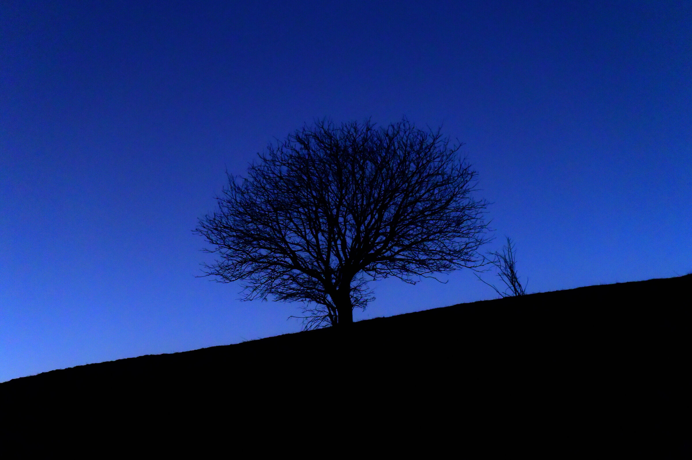 Silhouette nel blu
