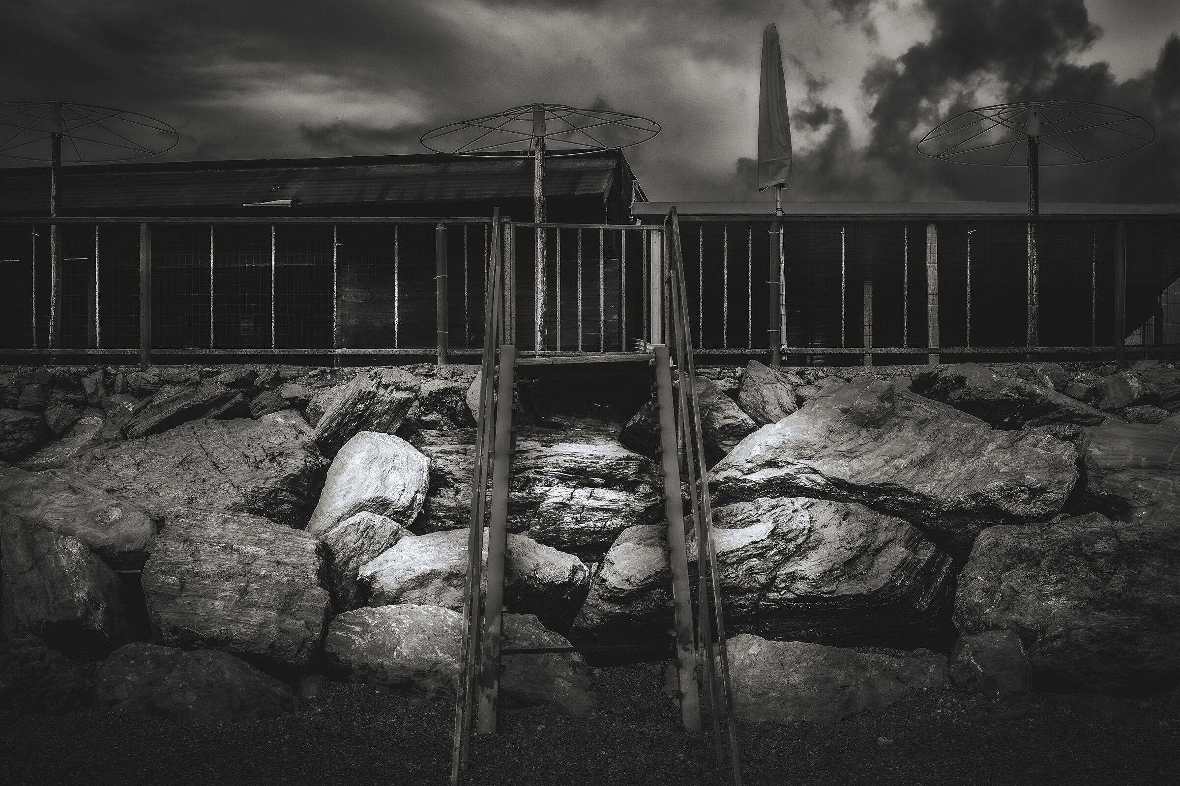 Untitled Photo