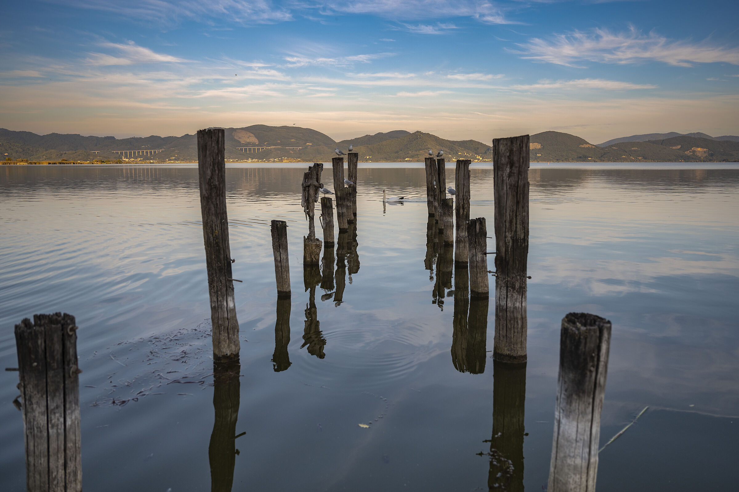 Lake Massaciuccoli