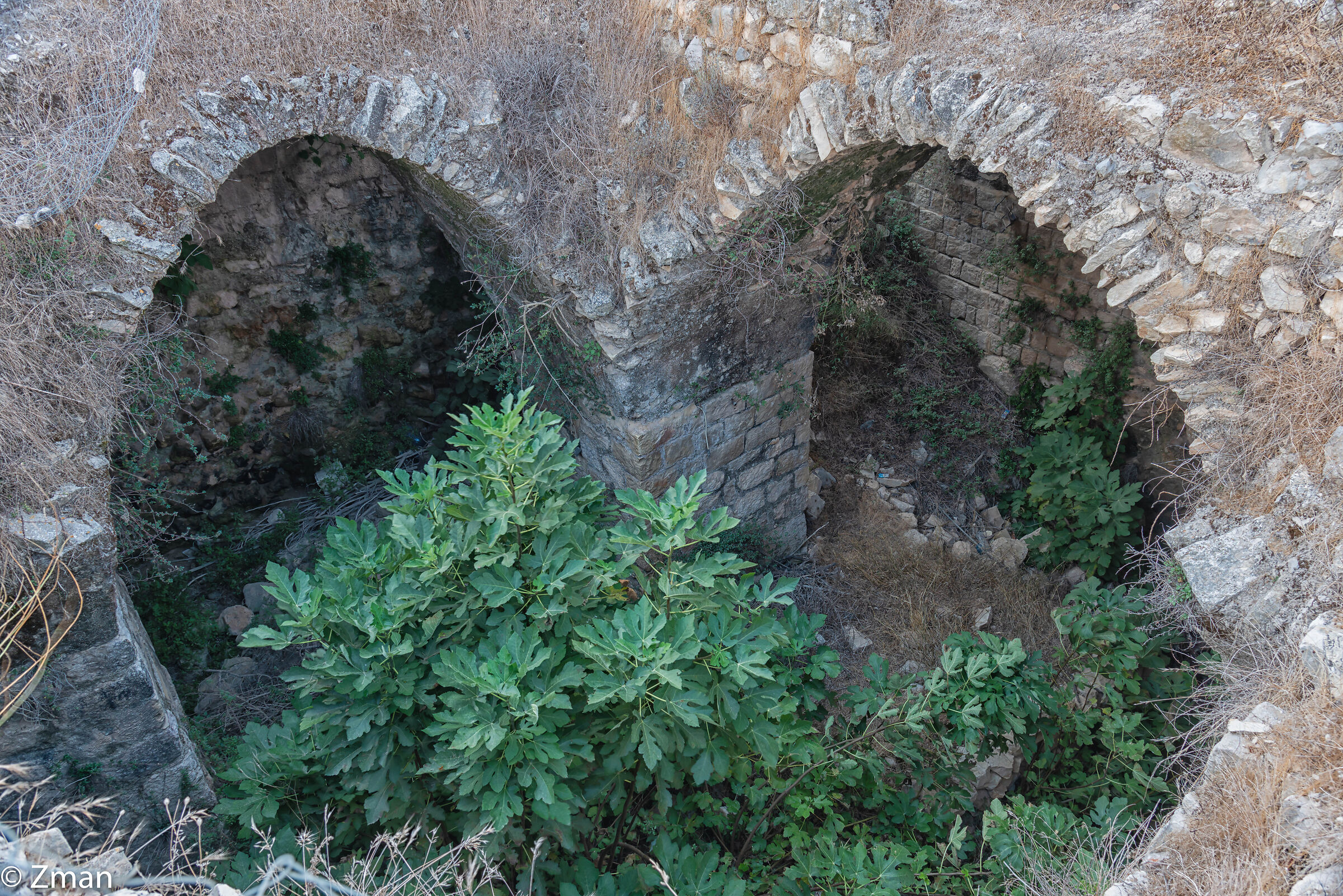 Rovine del castello di Tibnin