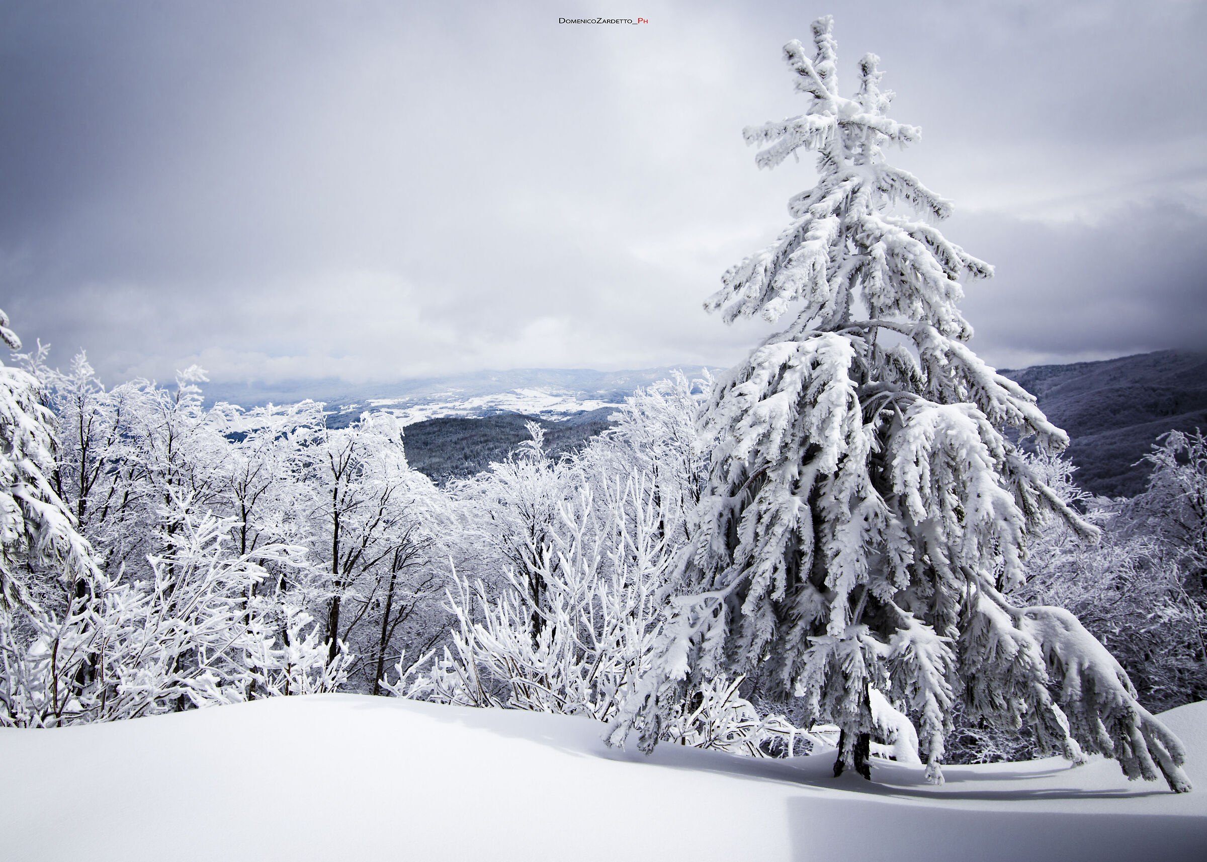Cima Botte Donato (1928 m)