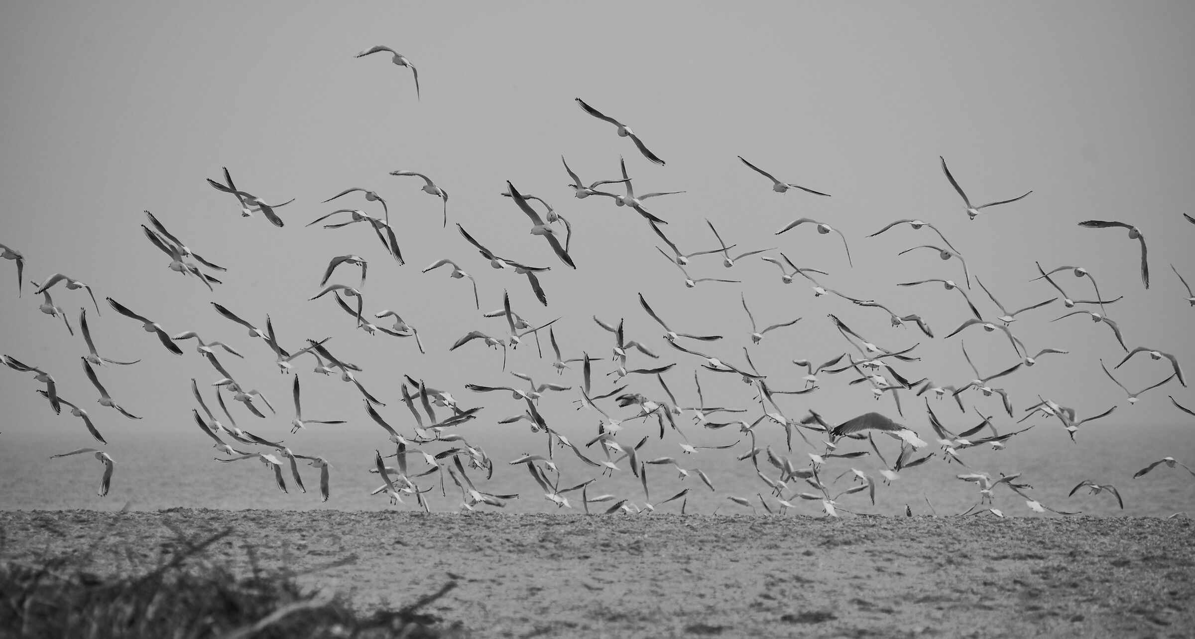 Untitled Photo