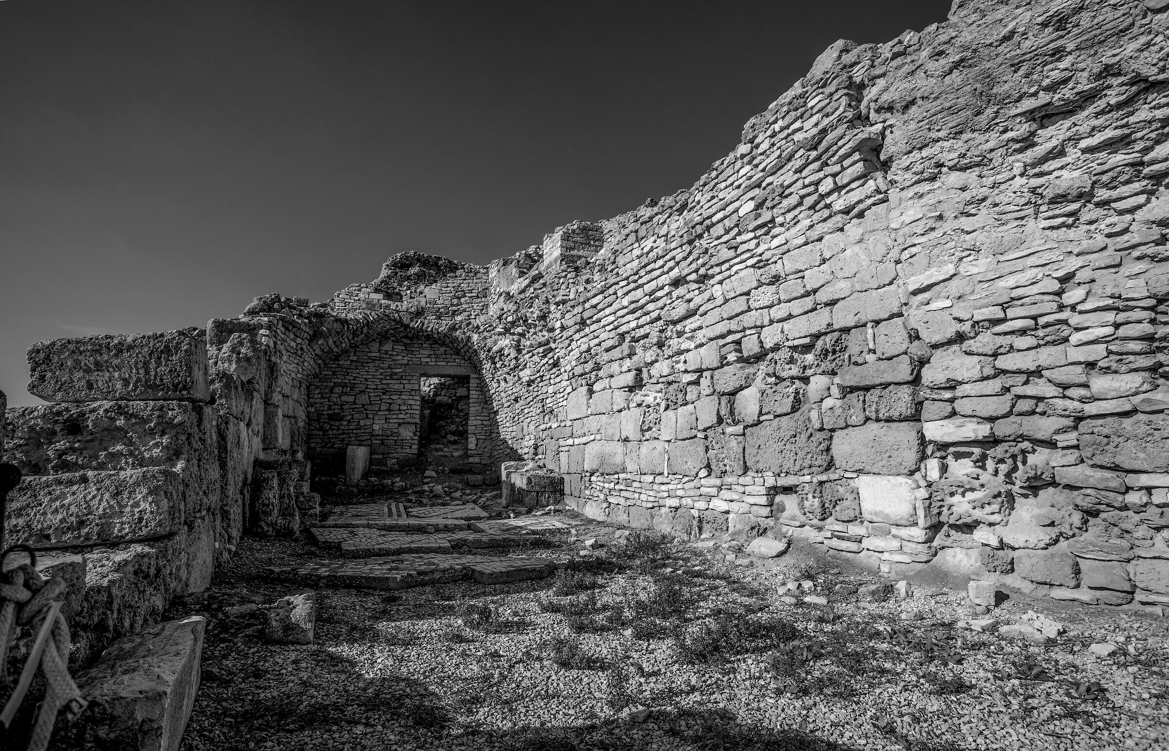 Canne della Battaglia