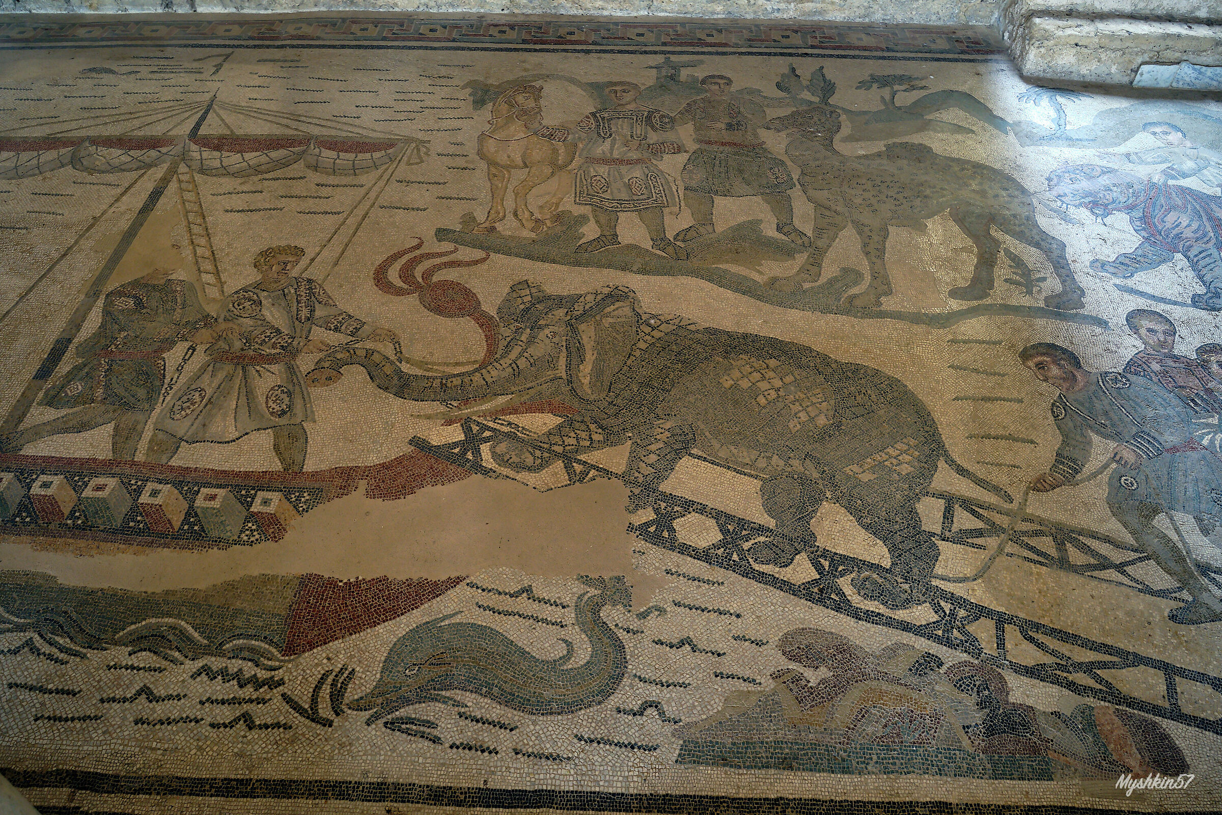 La cattura degli animali 1