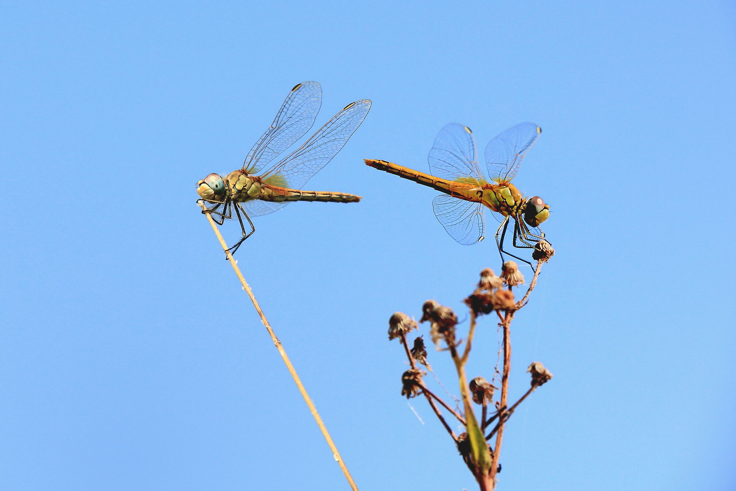 I don't want to see you anymore!