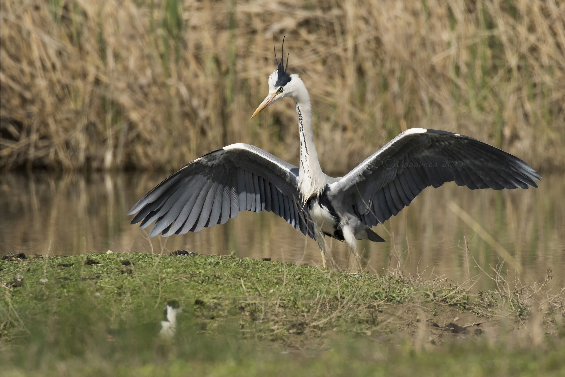 Today I'm a bit nervous......