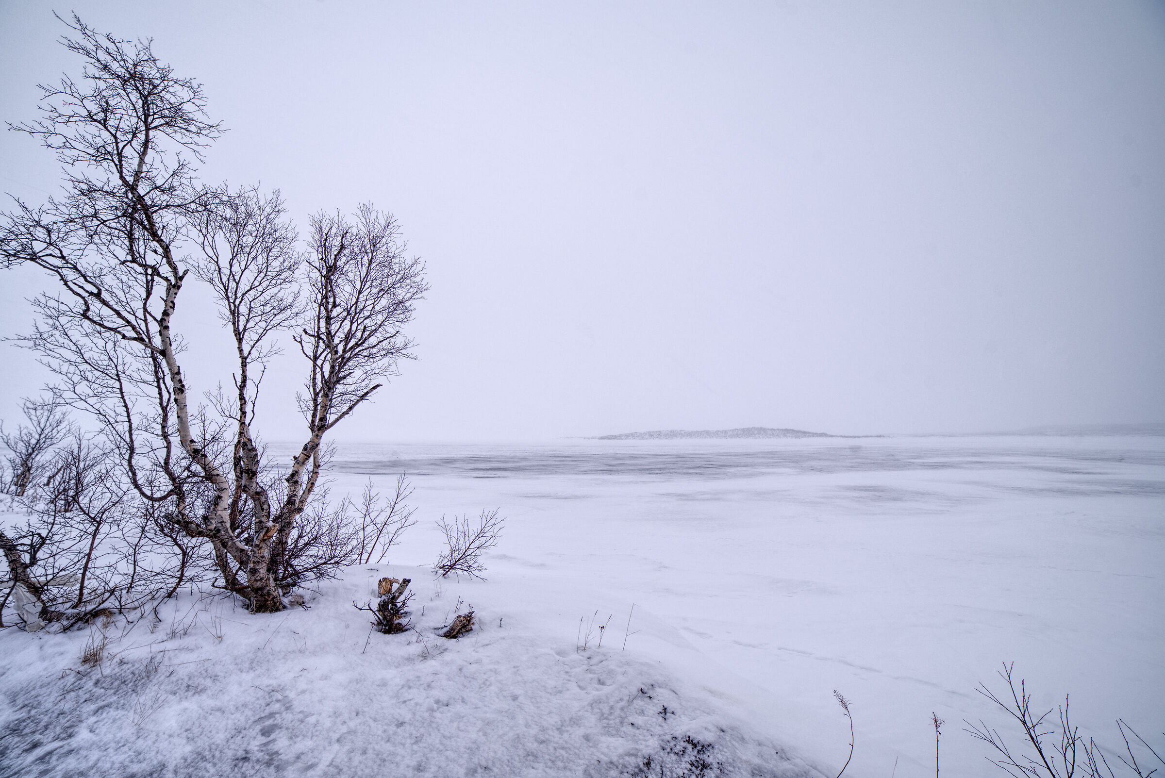Abisko