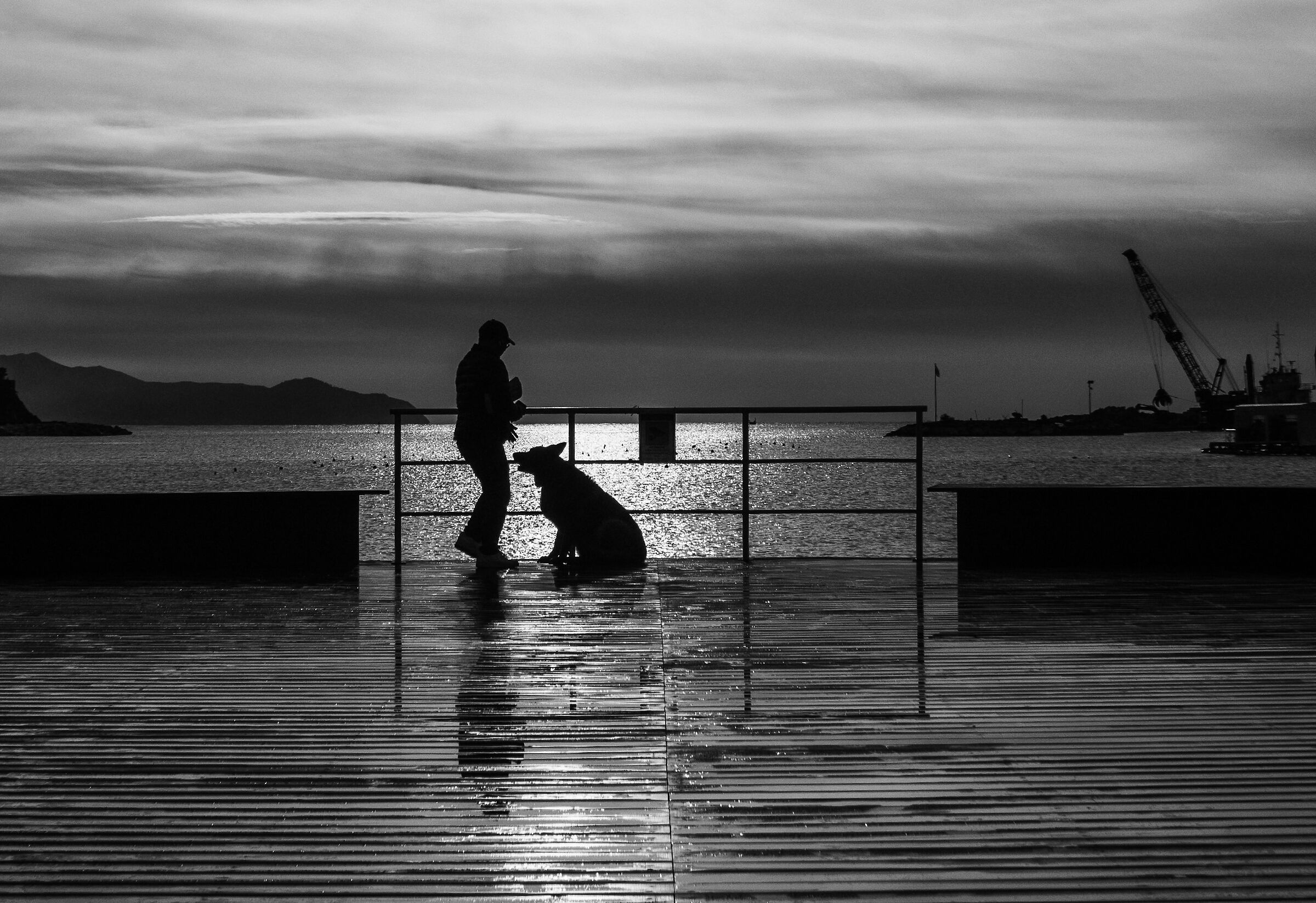 Il miglior amico dell'uomo.