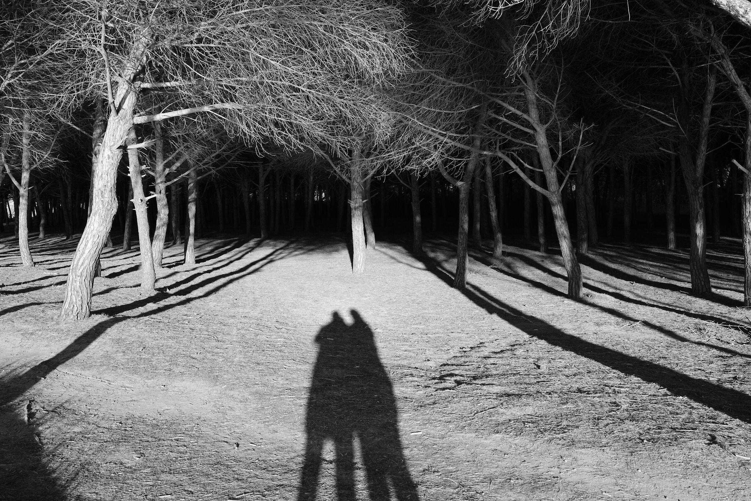 Shadow game