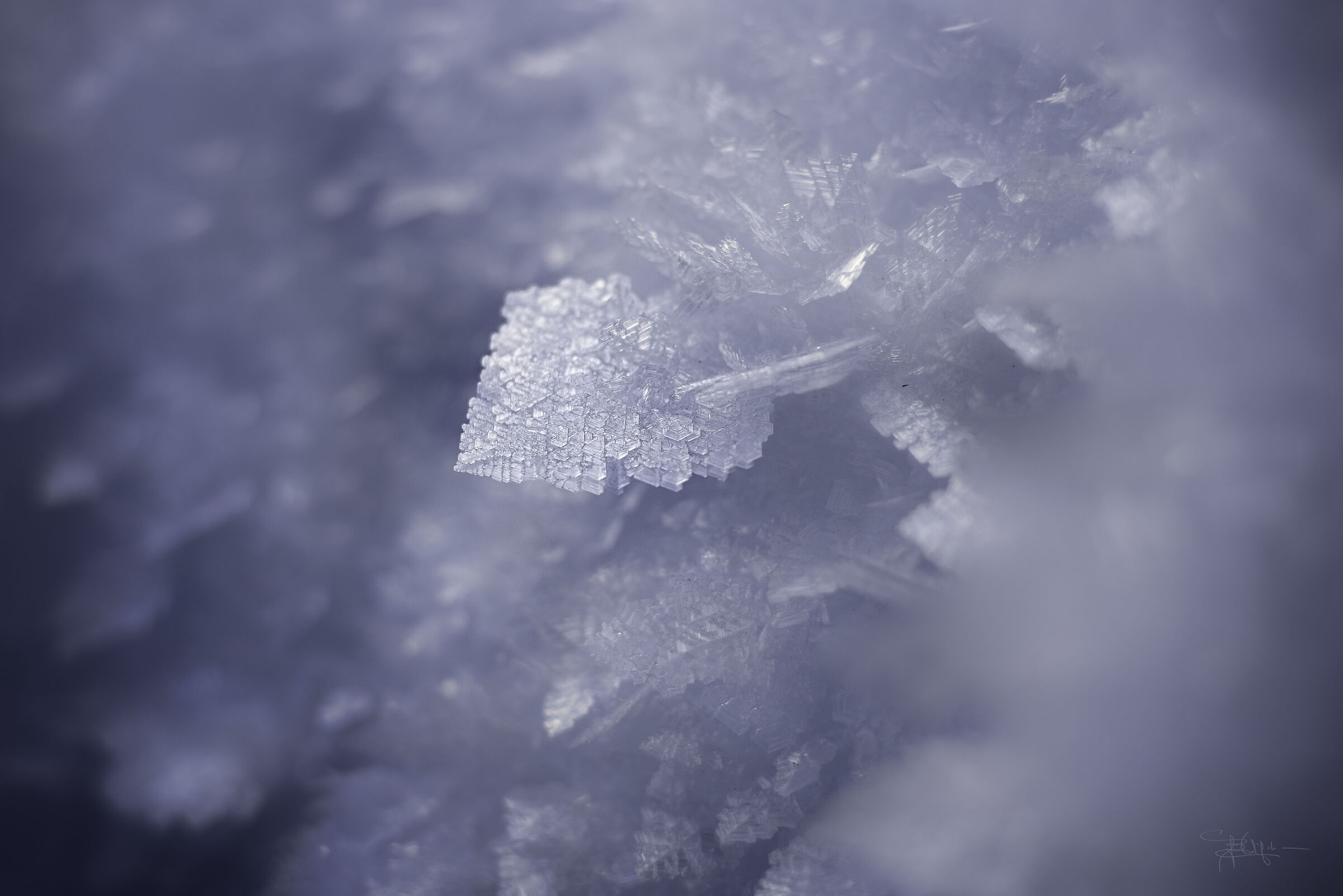 Geometrie imperfette