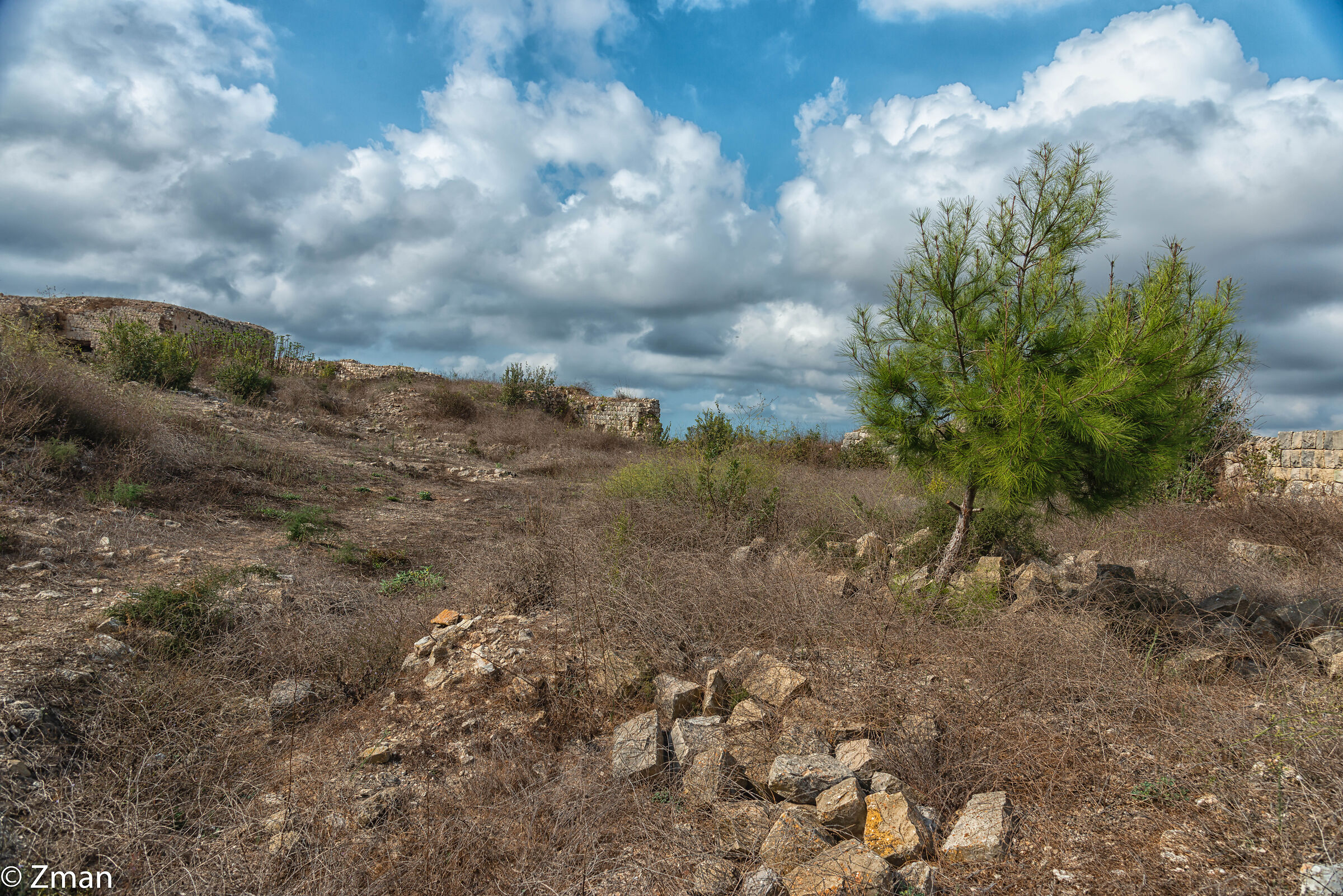 Rovine del castello di Tibnin