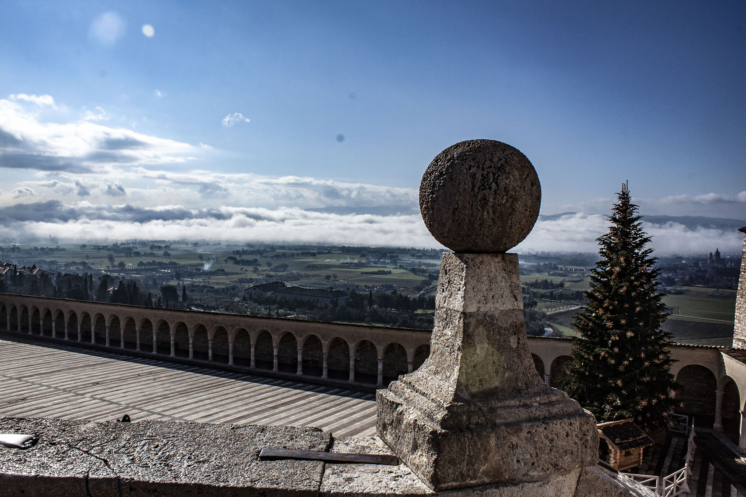 assisi