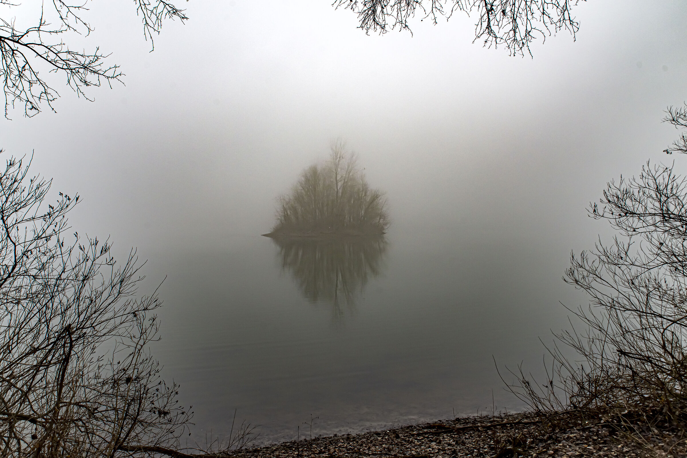 Islet in the fog of the floodplain