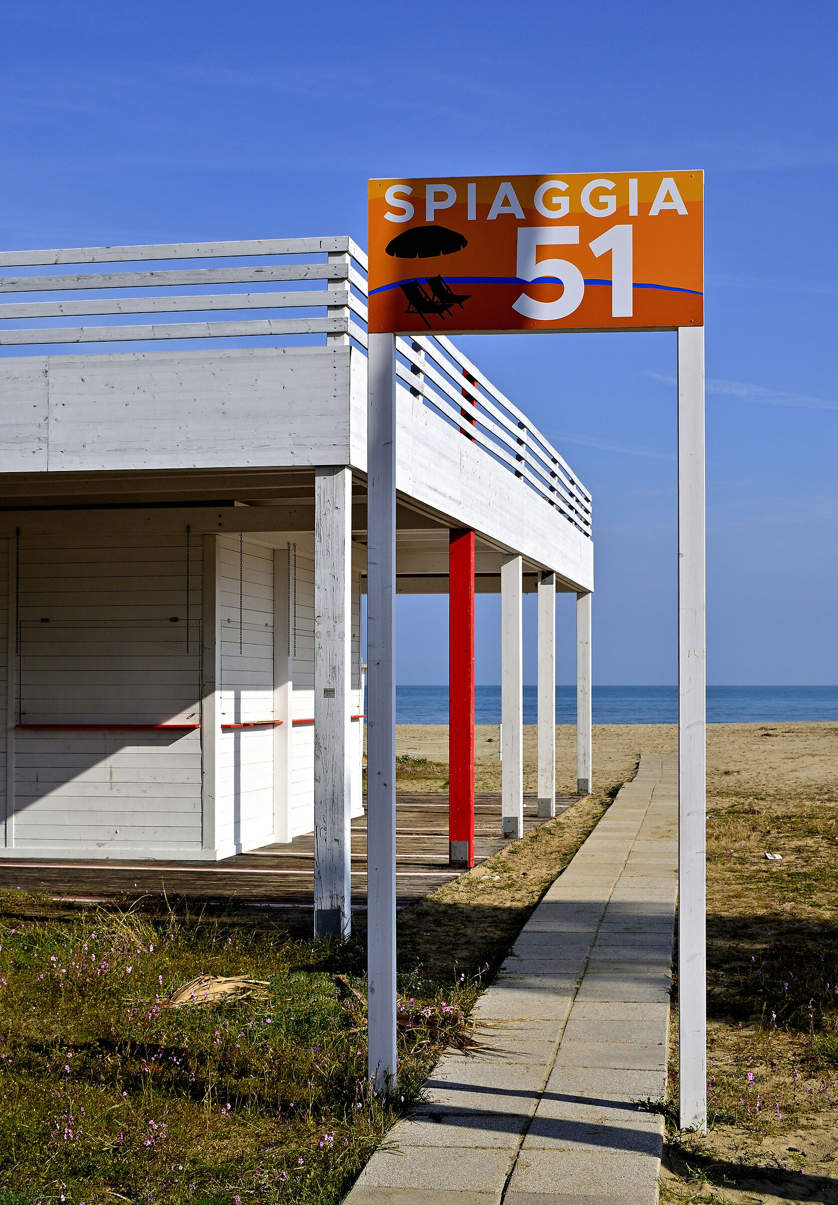 Discs, not umbrellas...