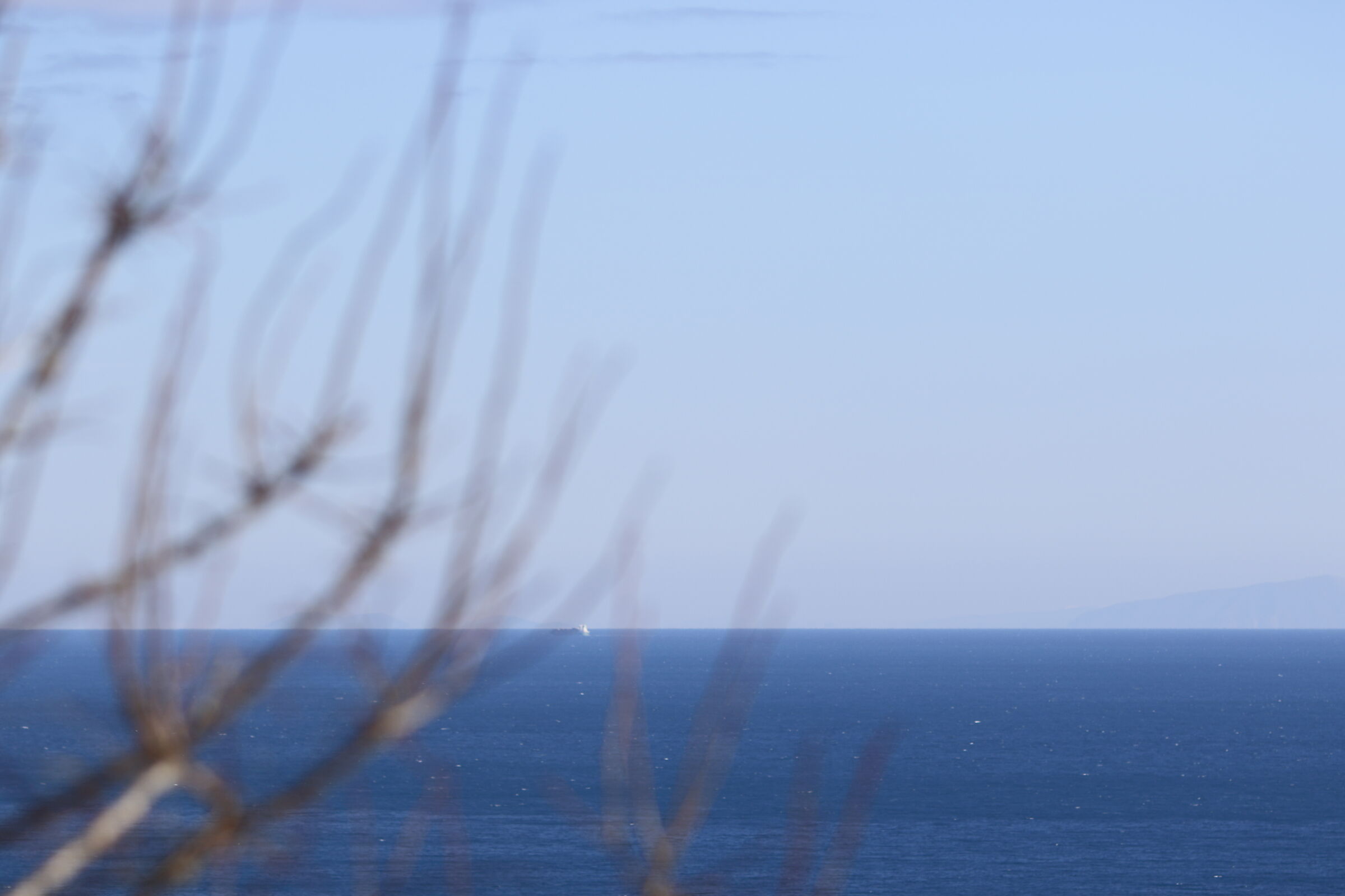 Canon 7D II- 135 F.2 L USM