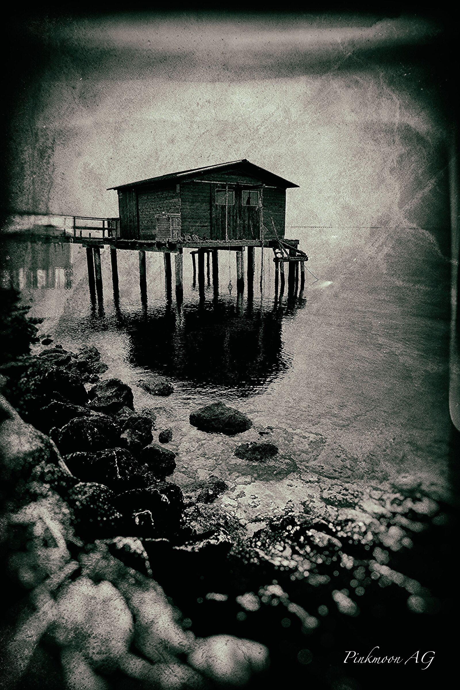 Scardovari