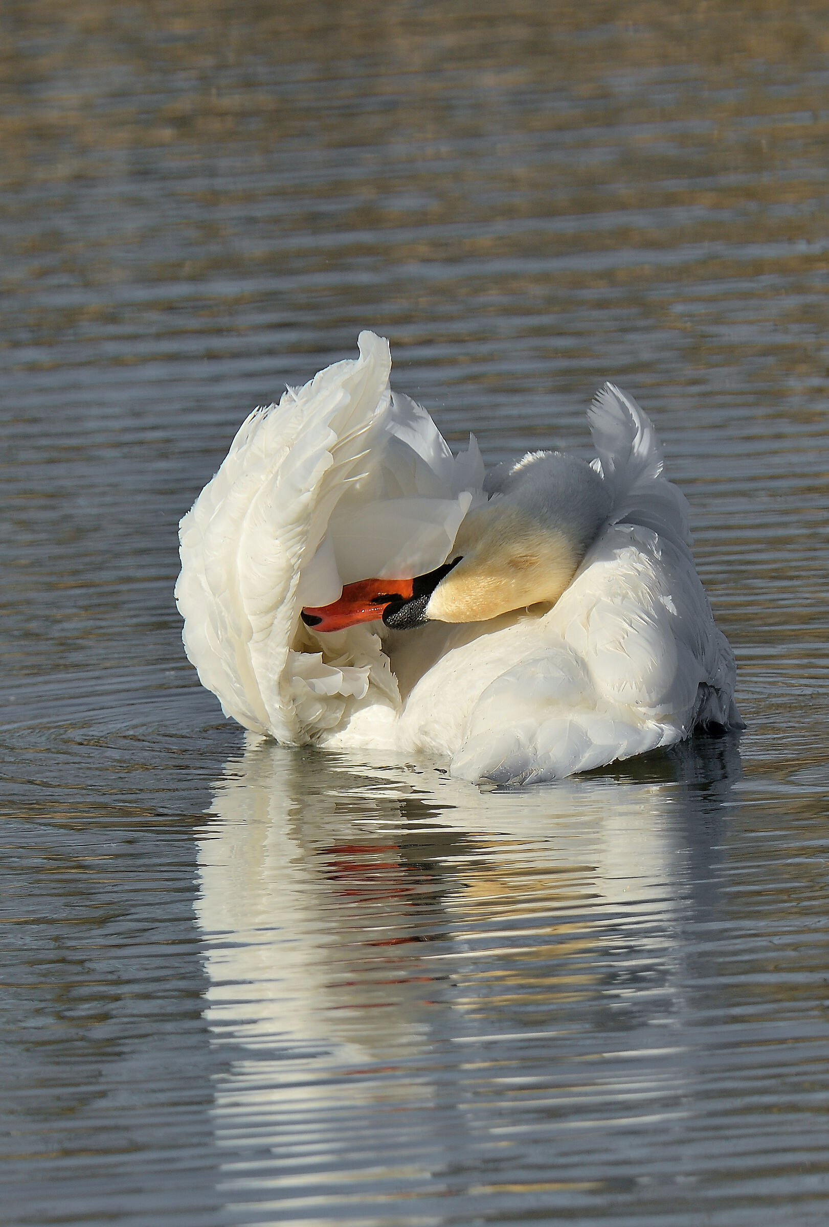 ohhhh che goduria!!!