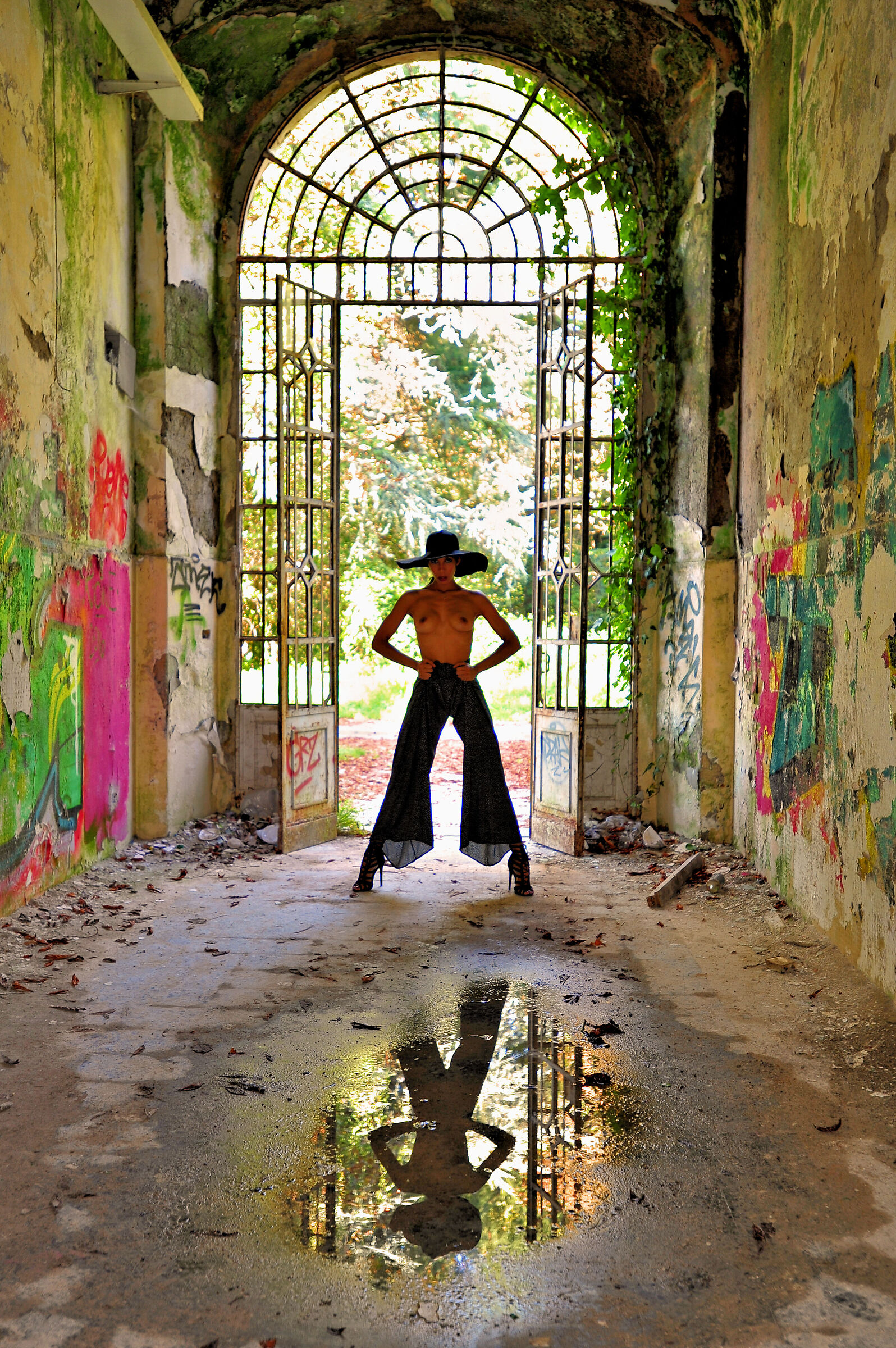 model: Saily