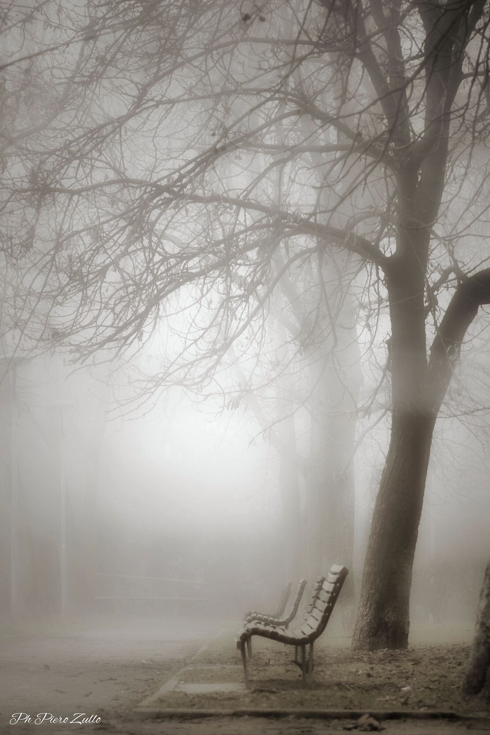 In the bright morning fog