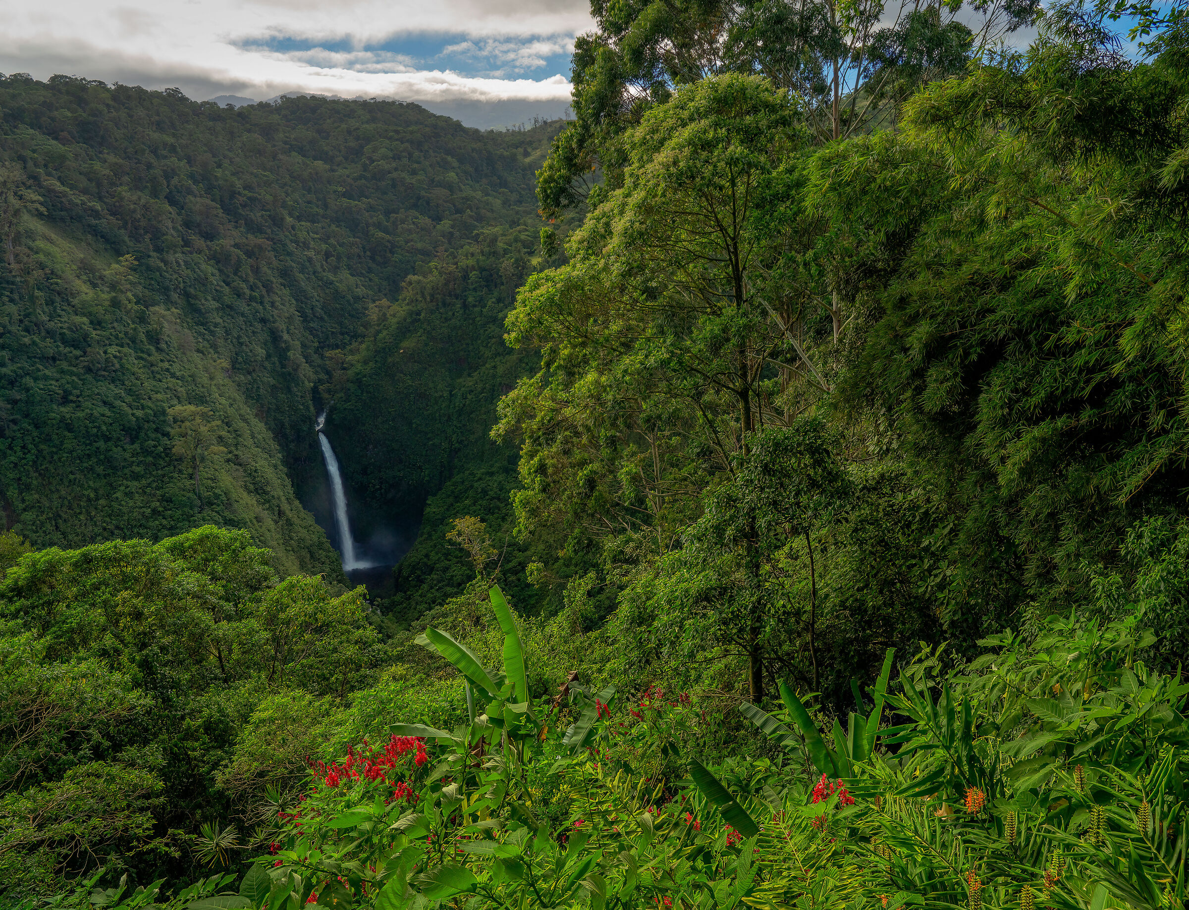 Catarata Cinchona