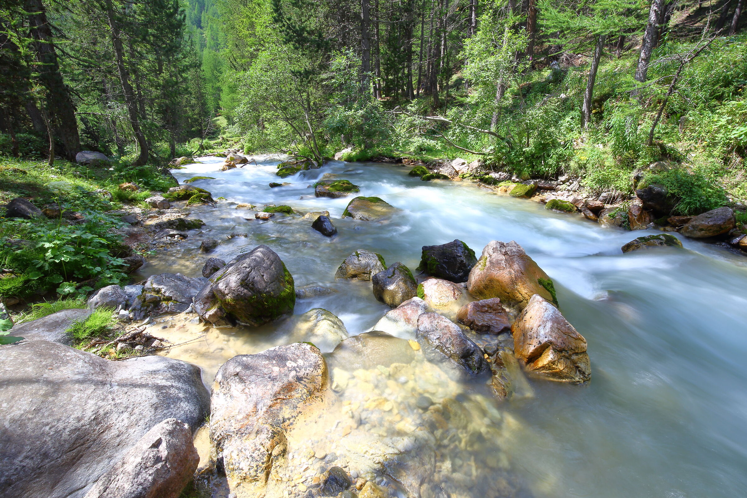 the stream in the narrow valley