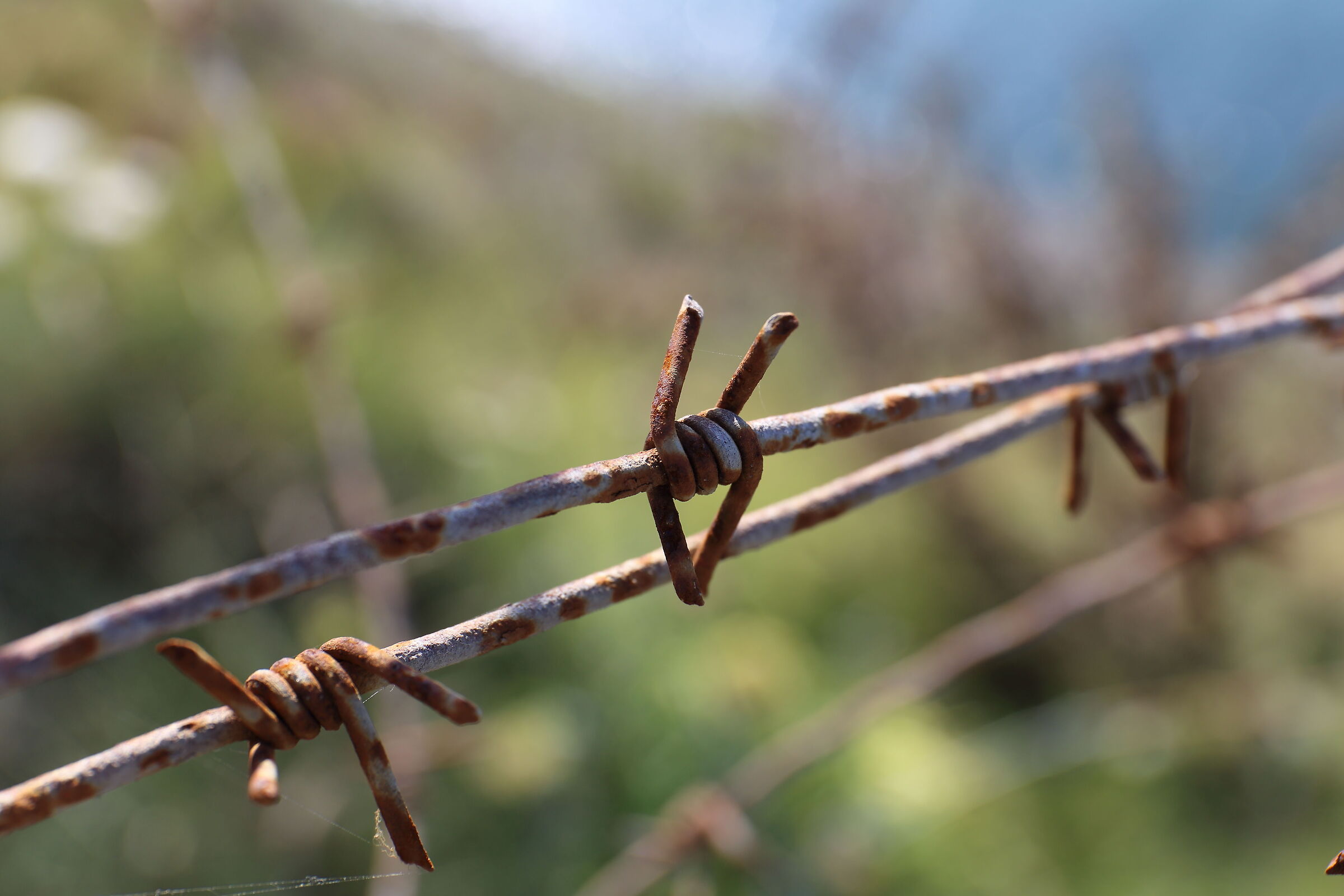 the ugly persists in Normandy