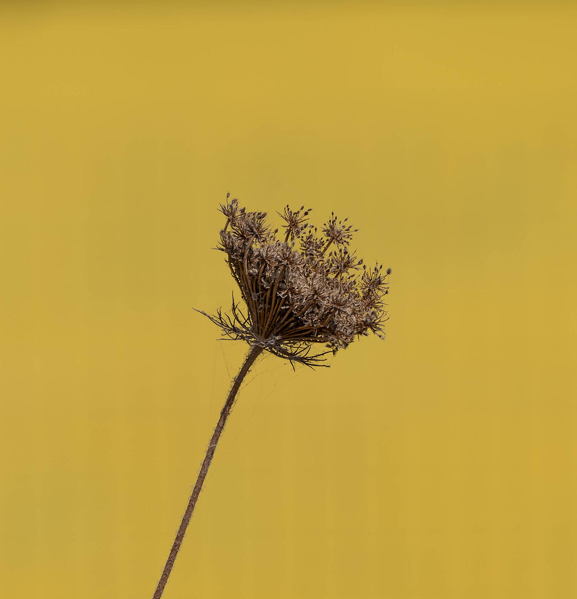 Untitled Photo