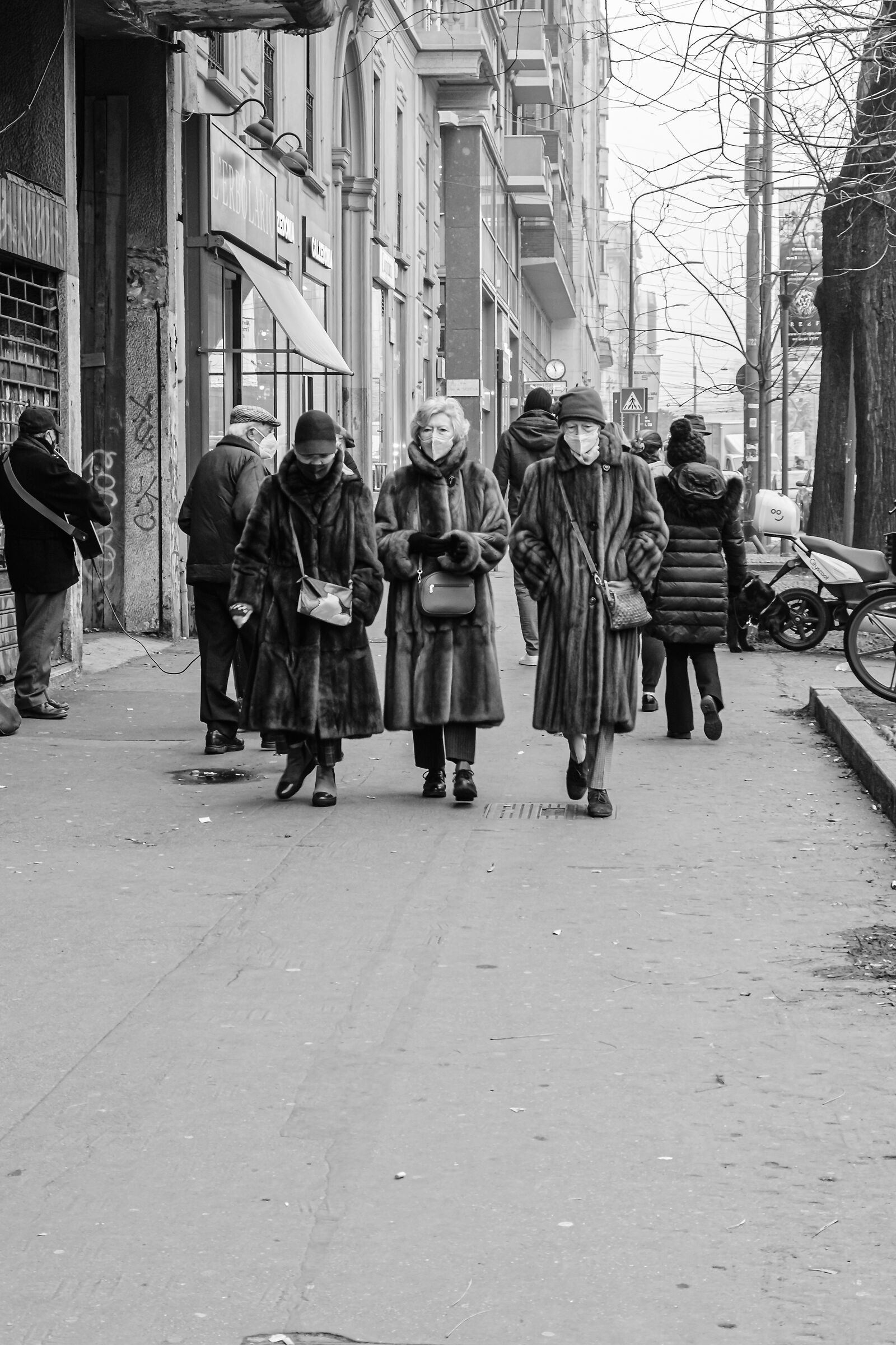 The three Milanese sciure