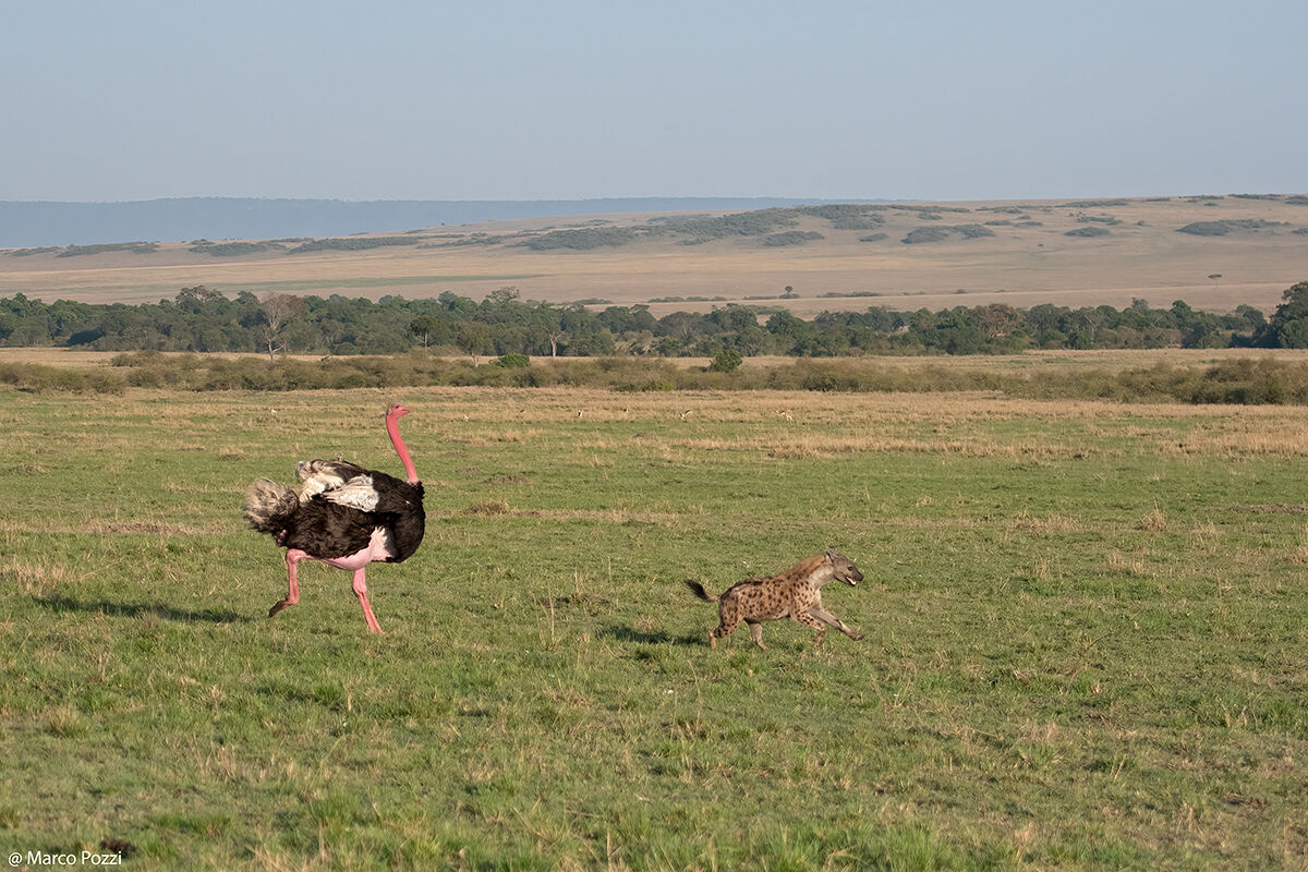 Better than at the cinema!