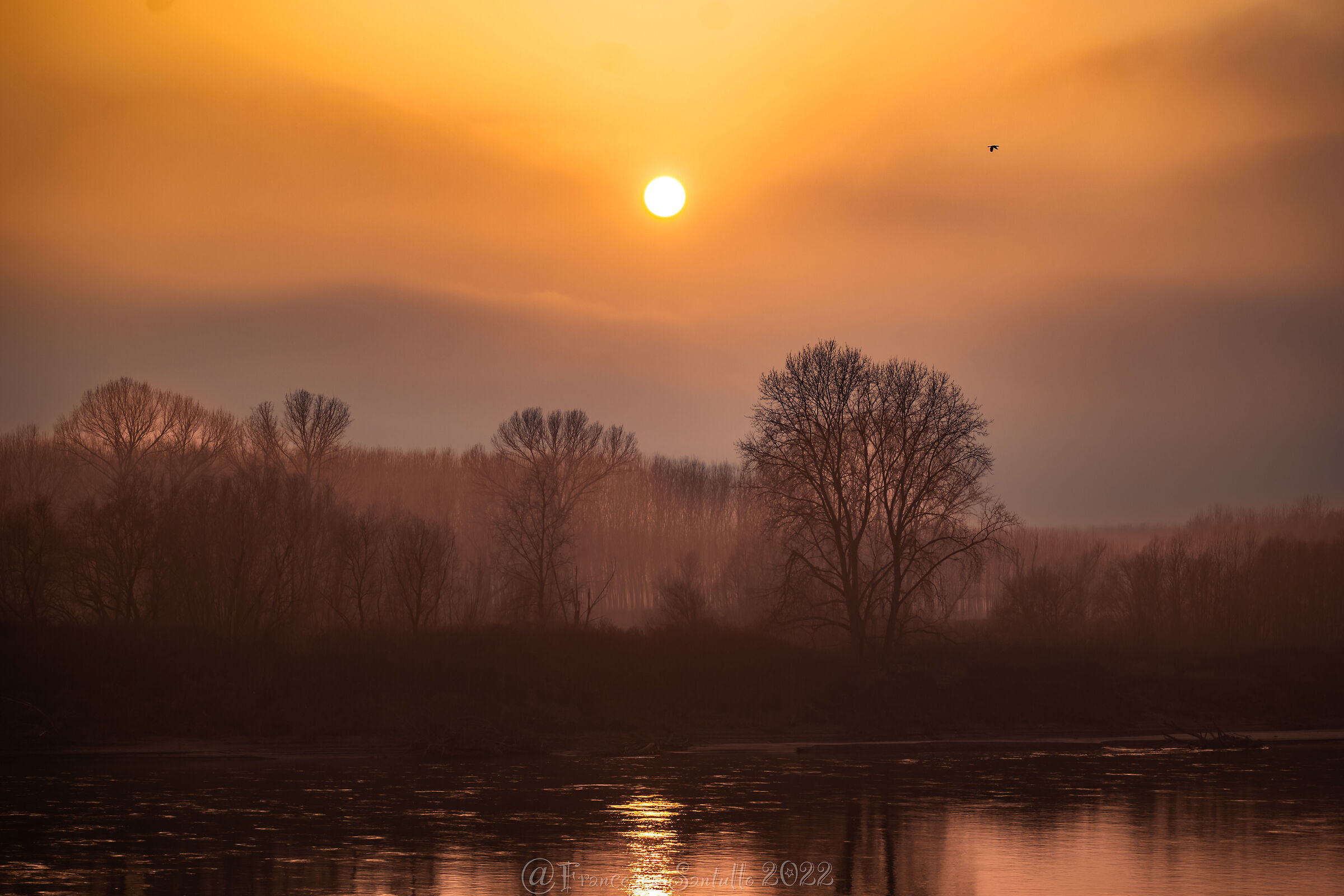 Between Dawn and Fog!