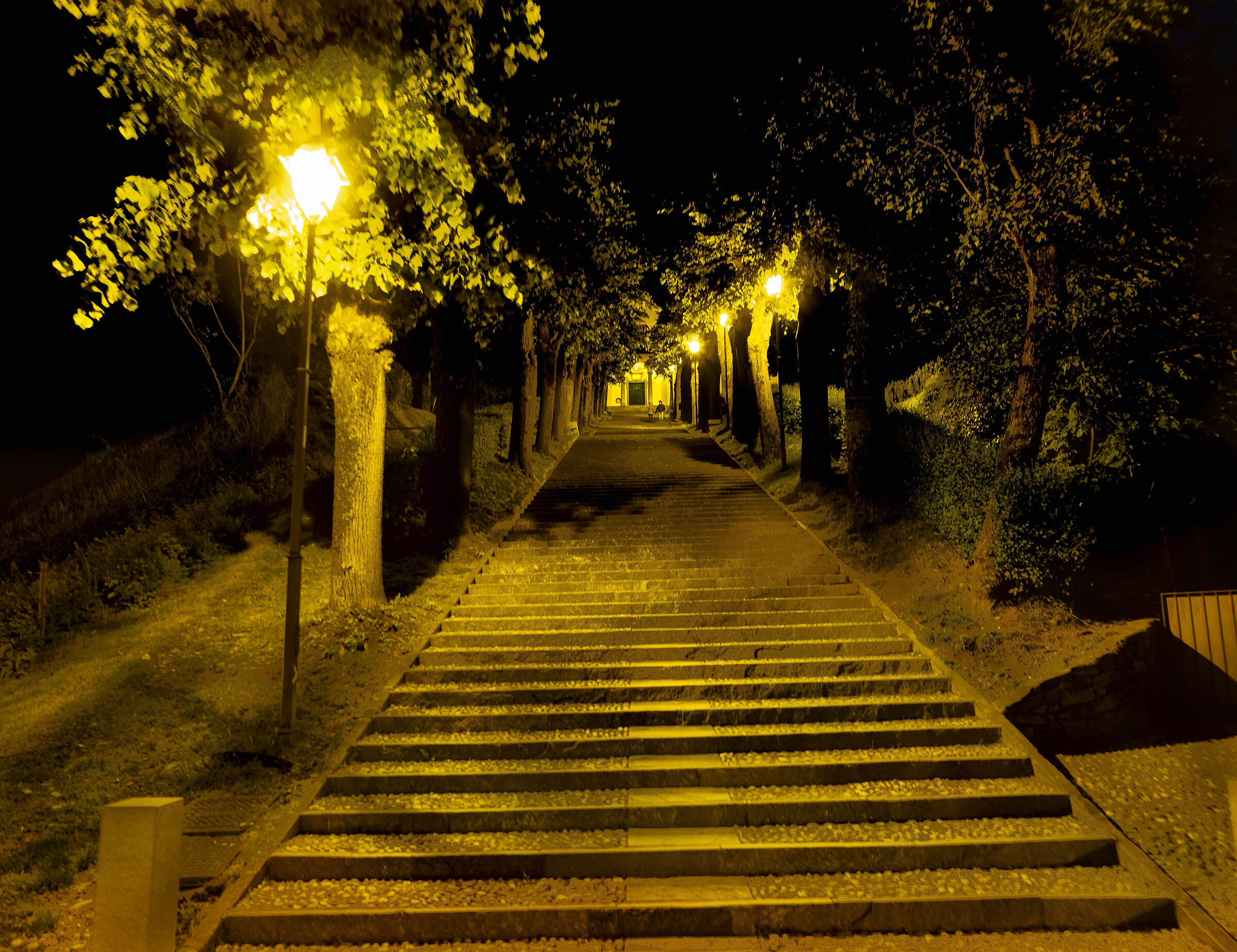Montevecchia night walk