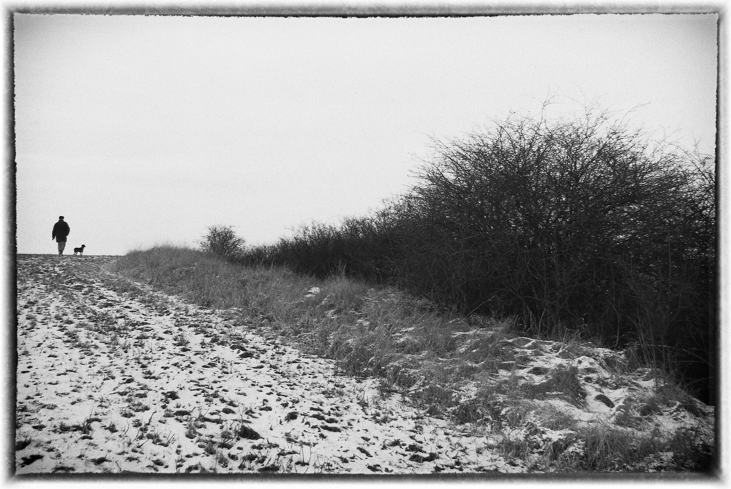 horizon - black and white