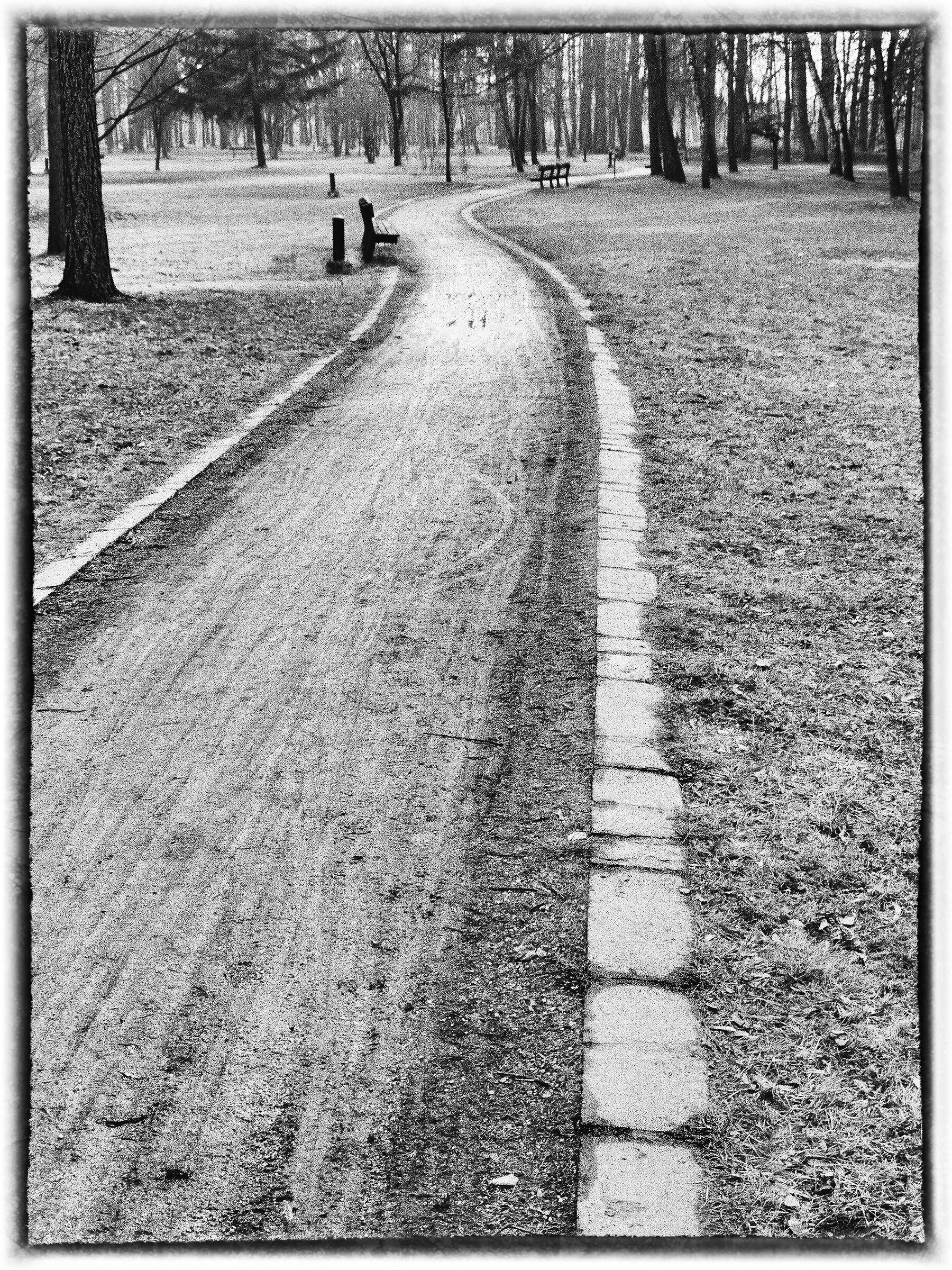 road through the park - black and white