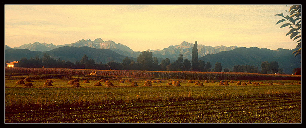 il fieno prima della pioggia