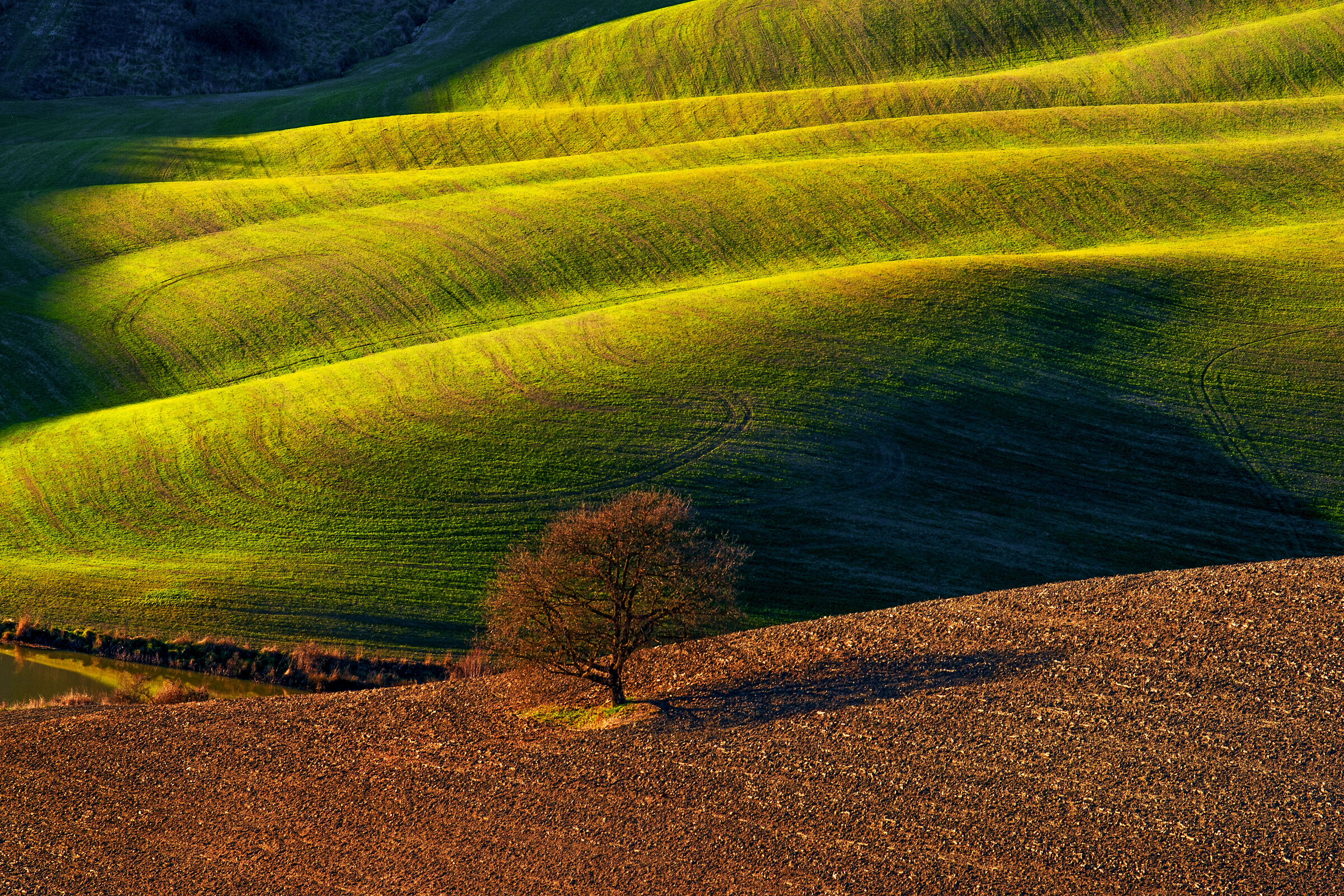 tra luci e ombre