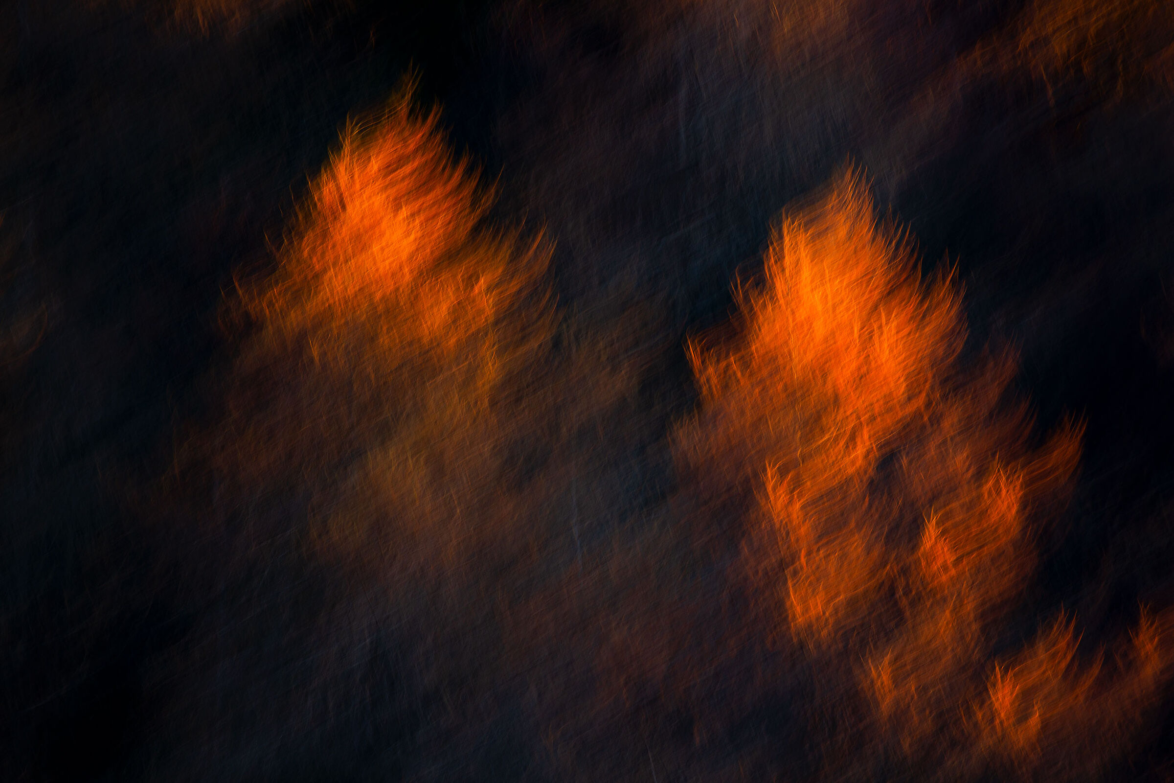 Fiamme