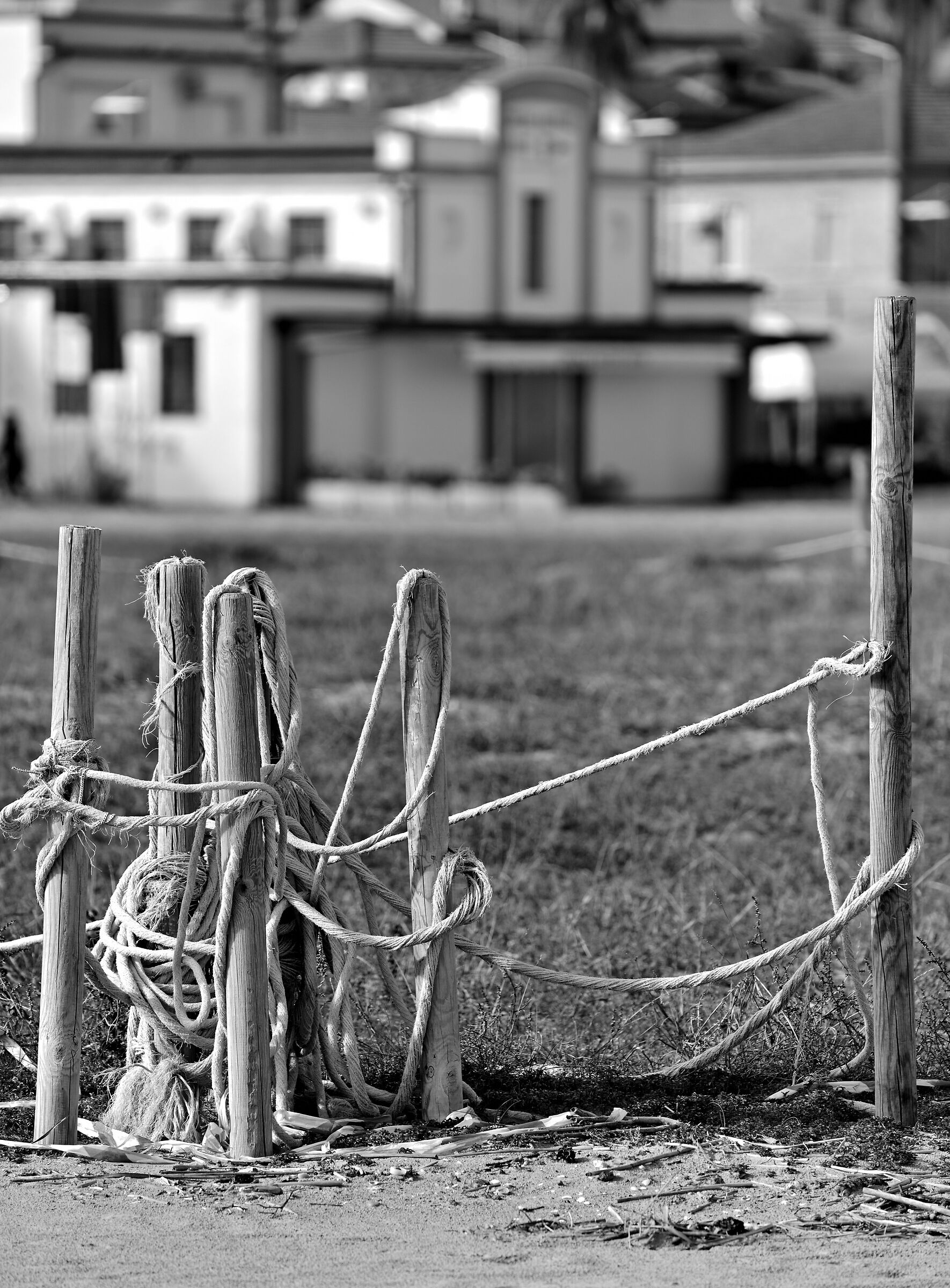 Con famiglia al seguito...