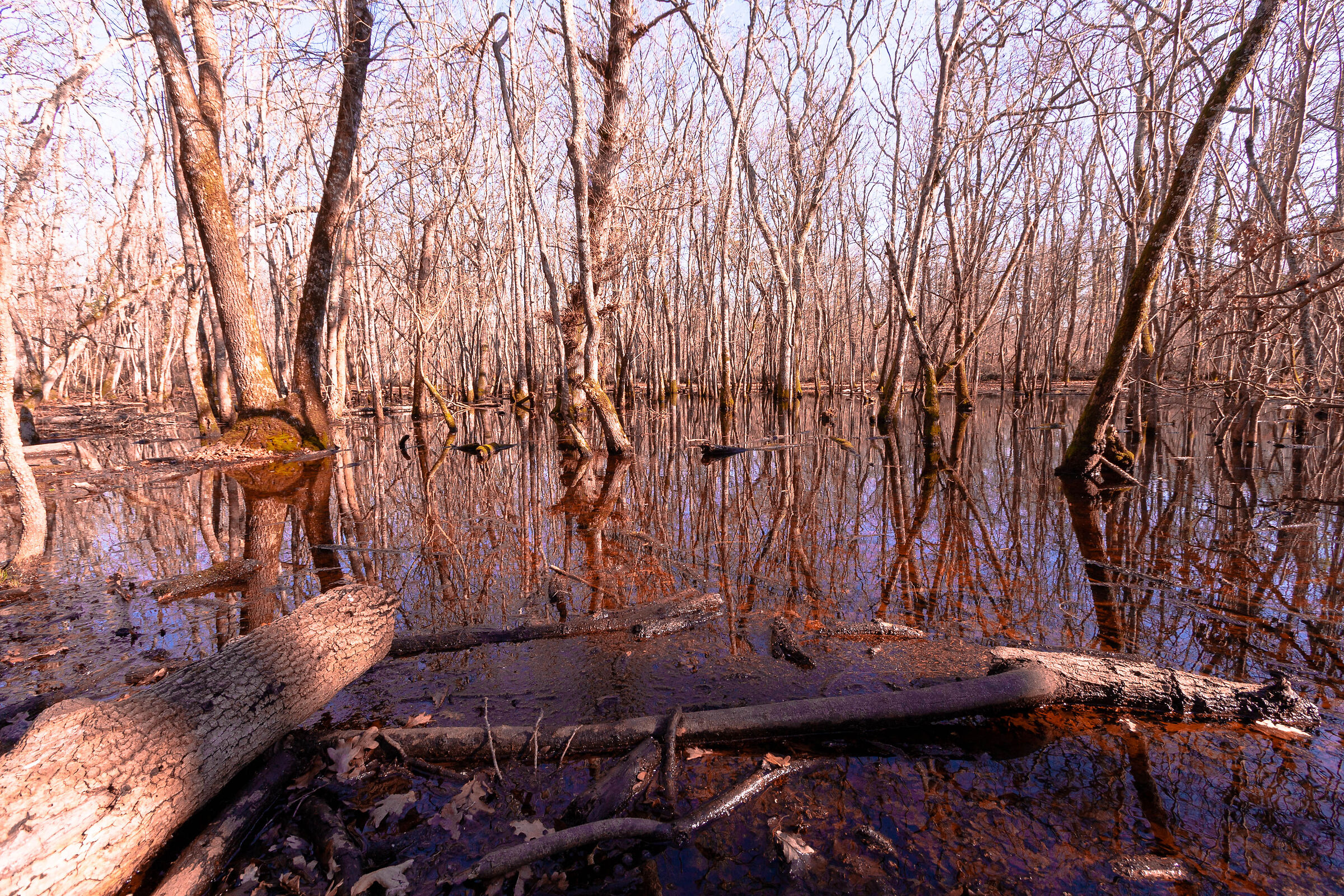 Piscina della Vardesca