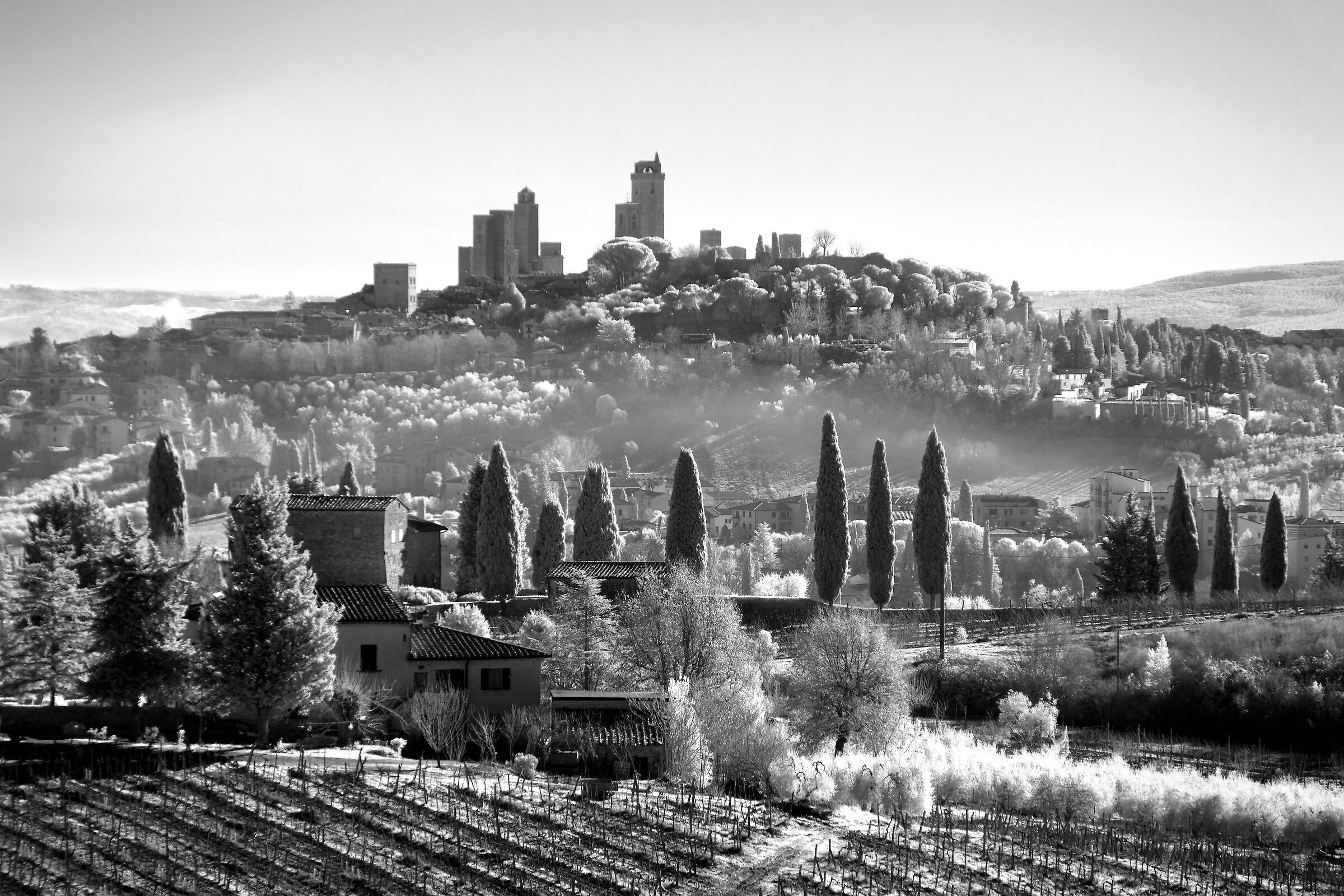 Winter morning.
