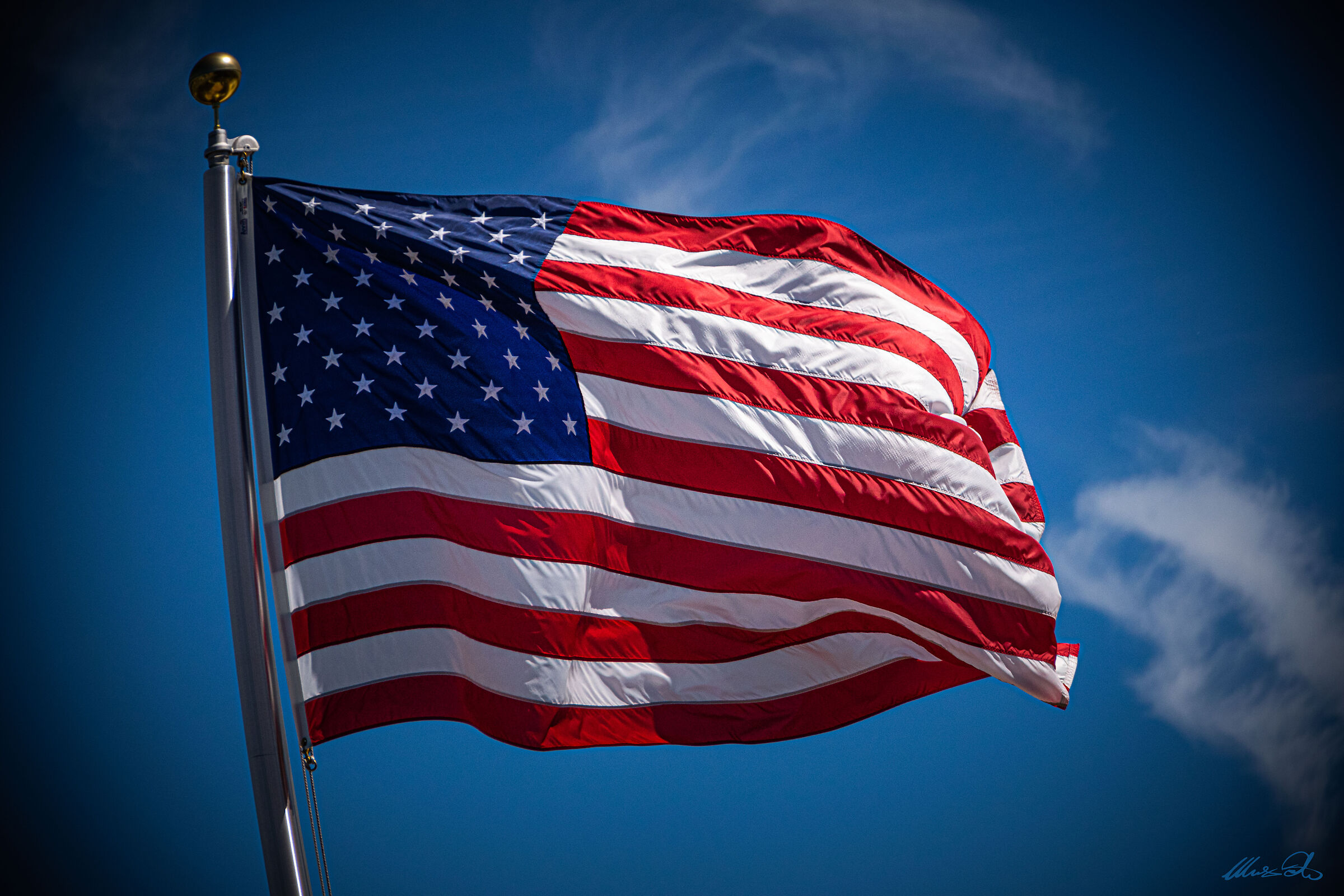 The Flag